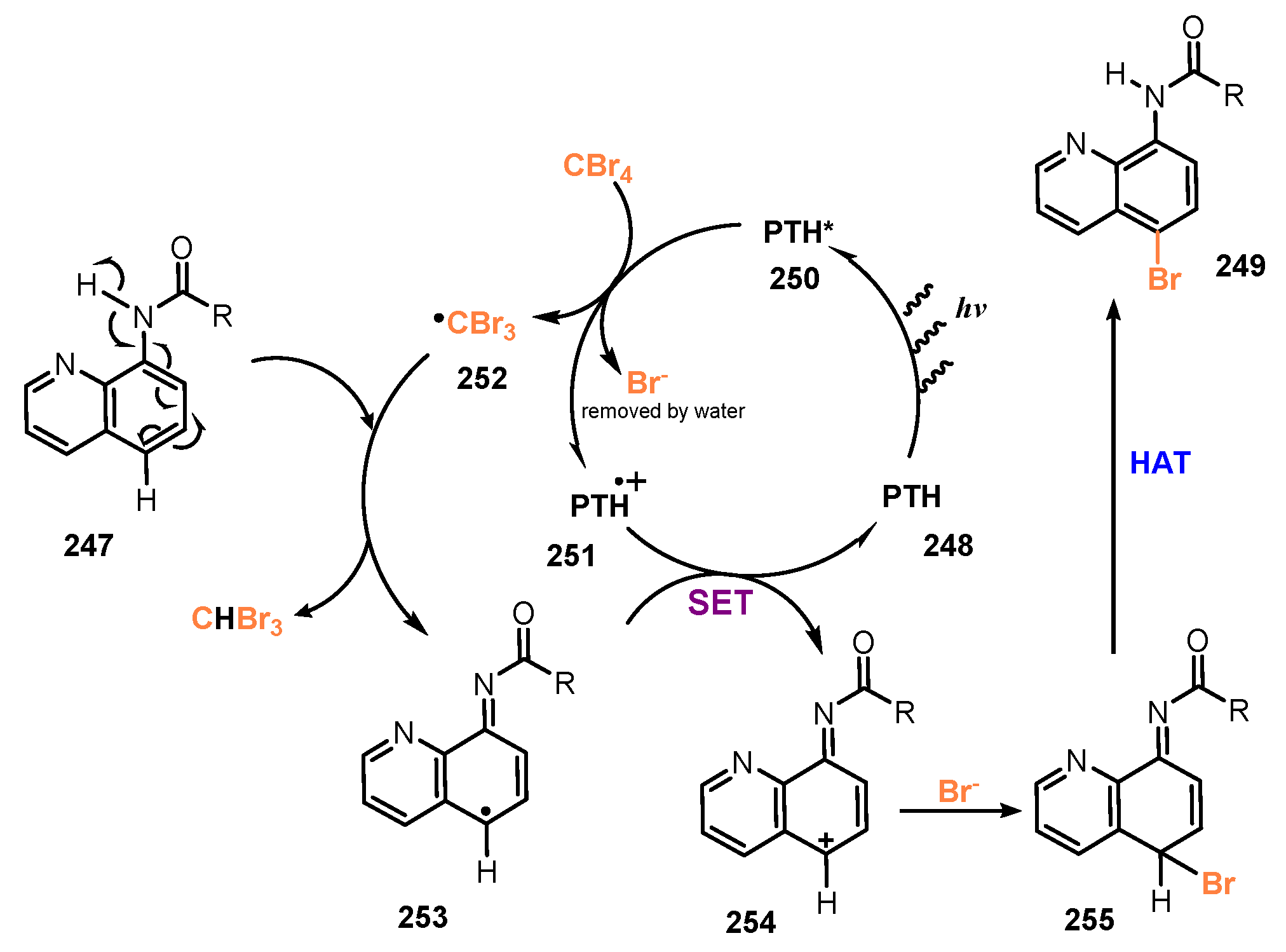 Molecules 26 07380 sch066 Molecules 26 07380 sch066