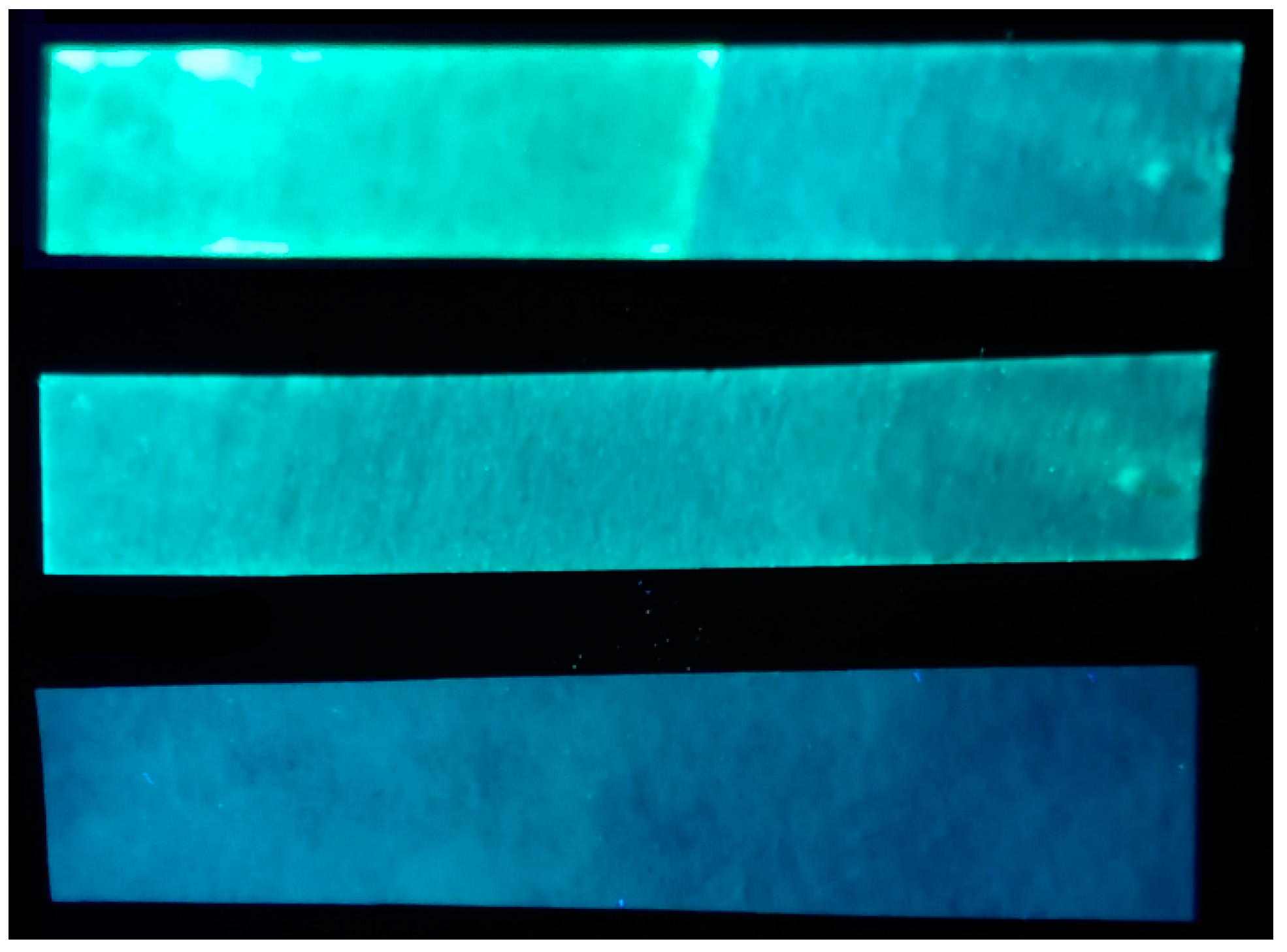 Molecules 26 07392 g007