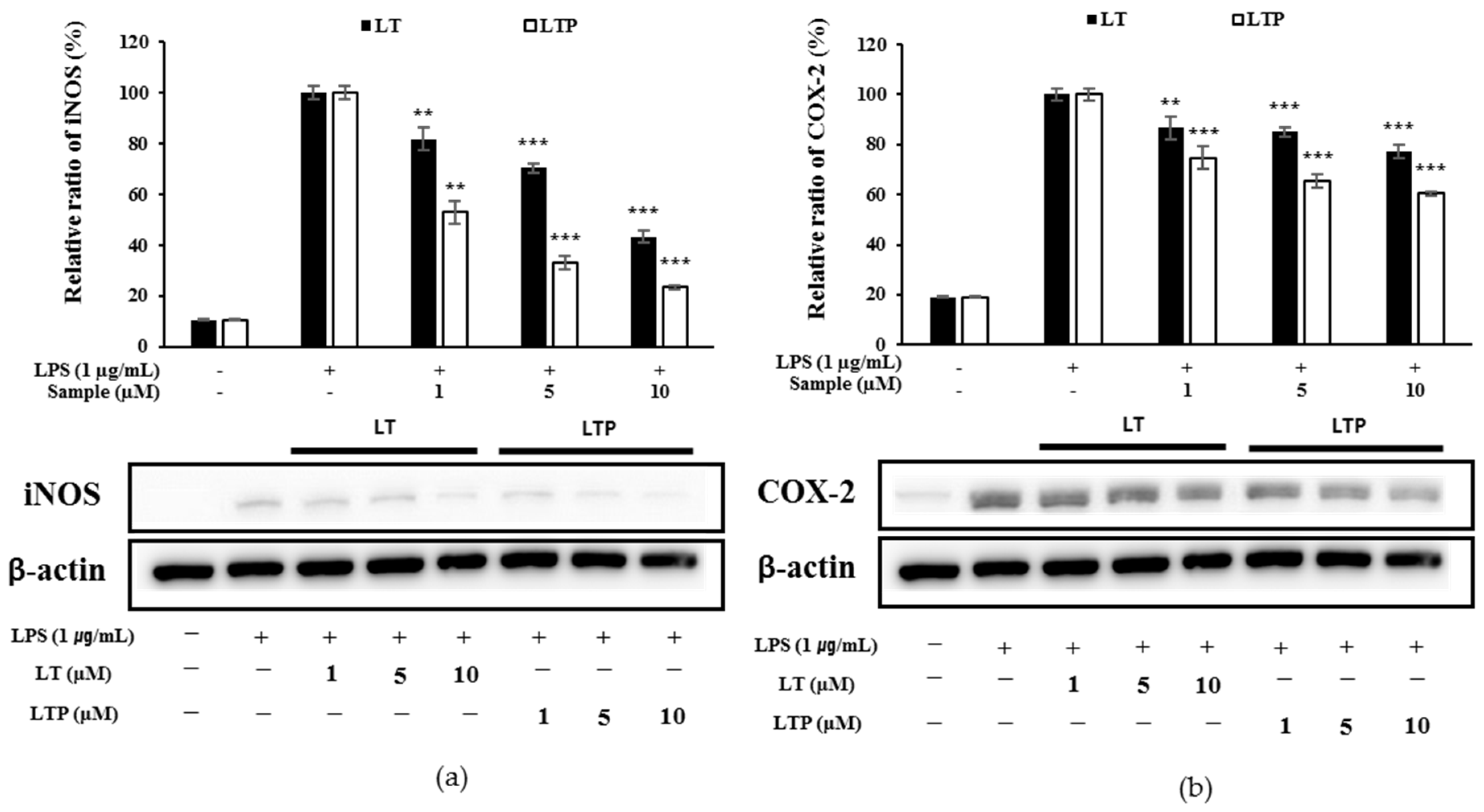 Molecules 26 07393 g004 550