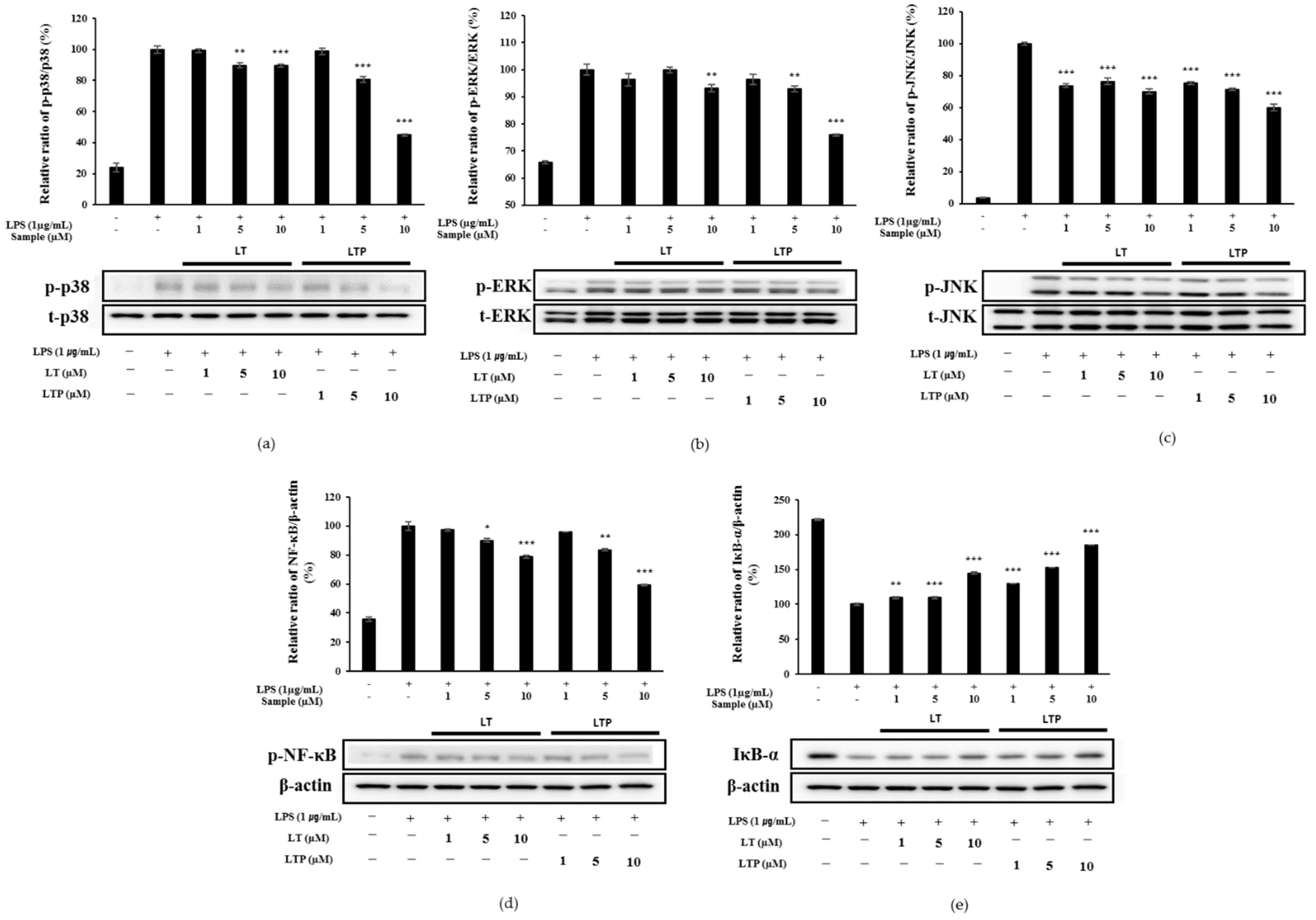 Molecules 26 07393 g006 550