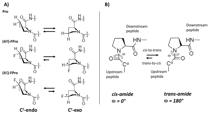 Molecules 26 07401 g002 Molecules 26 07401 g002