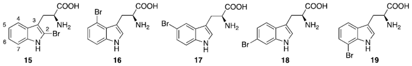 Molecules 26 07401 g005 Molecules 26 07401 g005