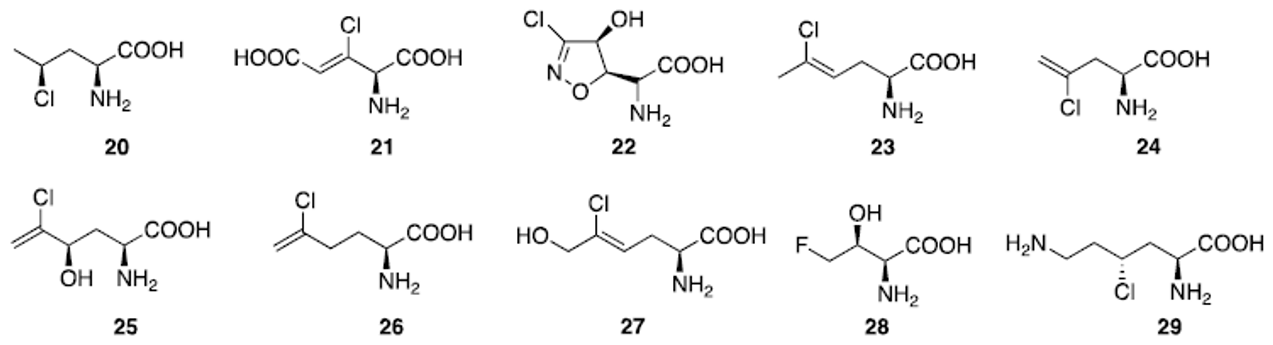 Molecules 26 07401 g006 Molecules 26 07401 g006