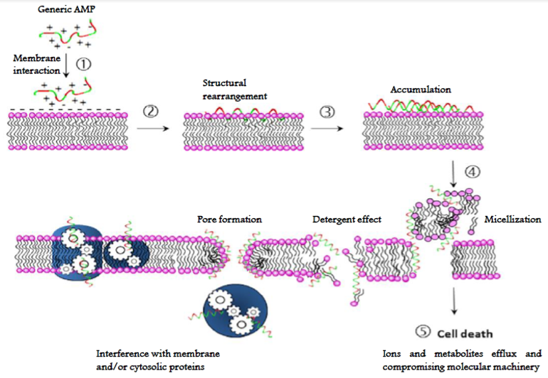 Molecules 26 07401 g007 Molecules 26 07401 g007