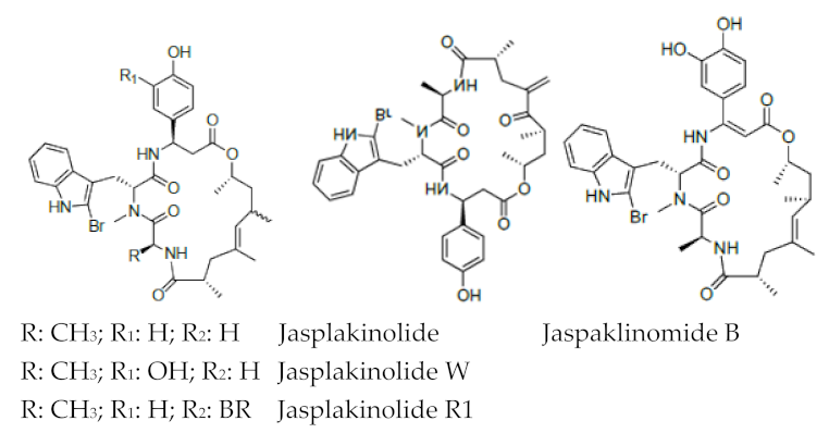 Molecules 26 07401 i005 Molecules 26 07401 i005