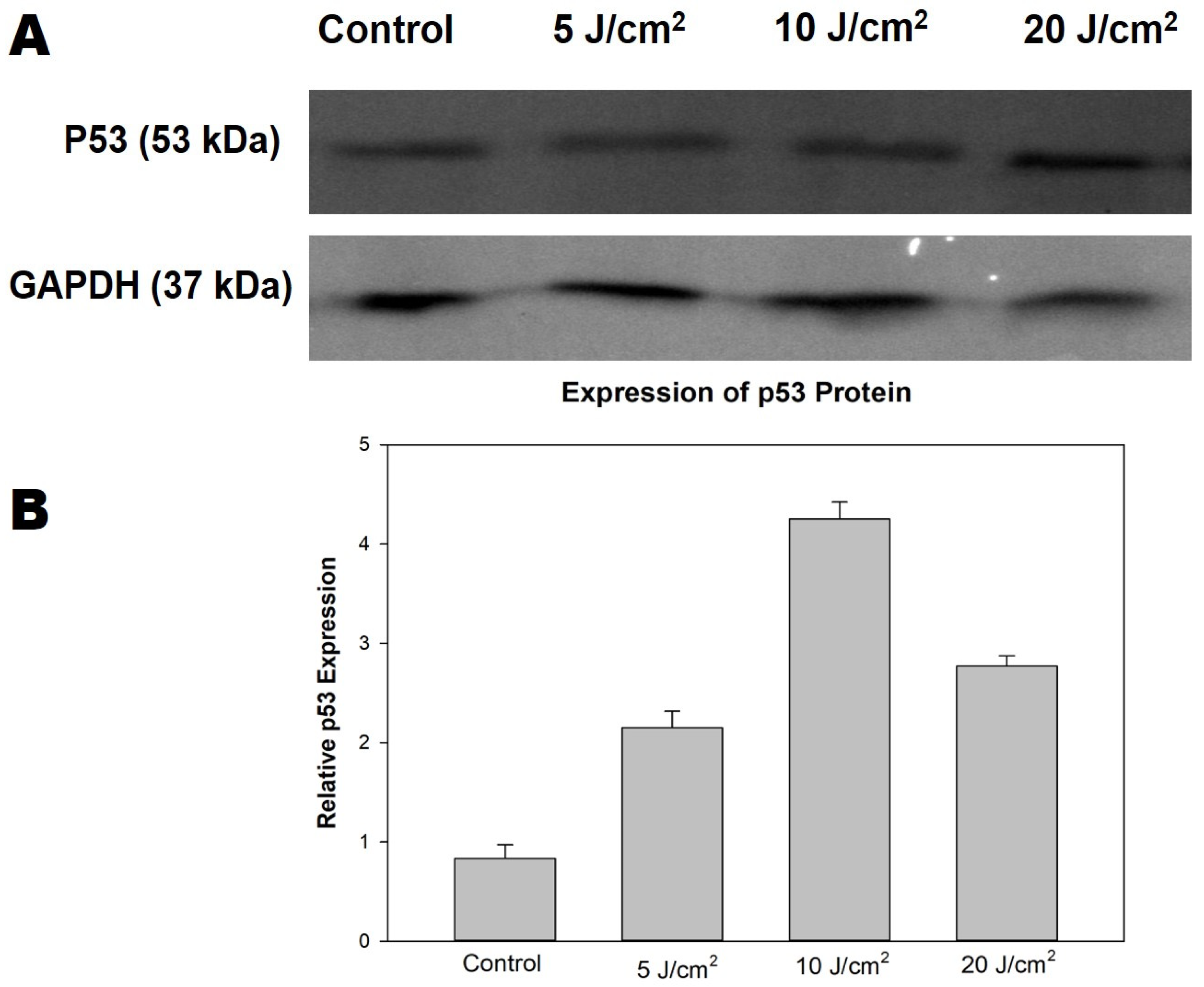 Molecules 26 07412 g005 550