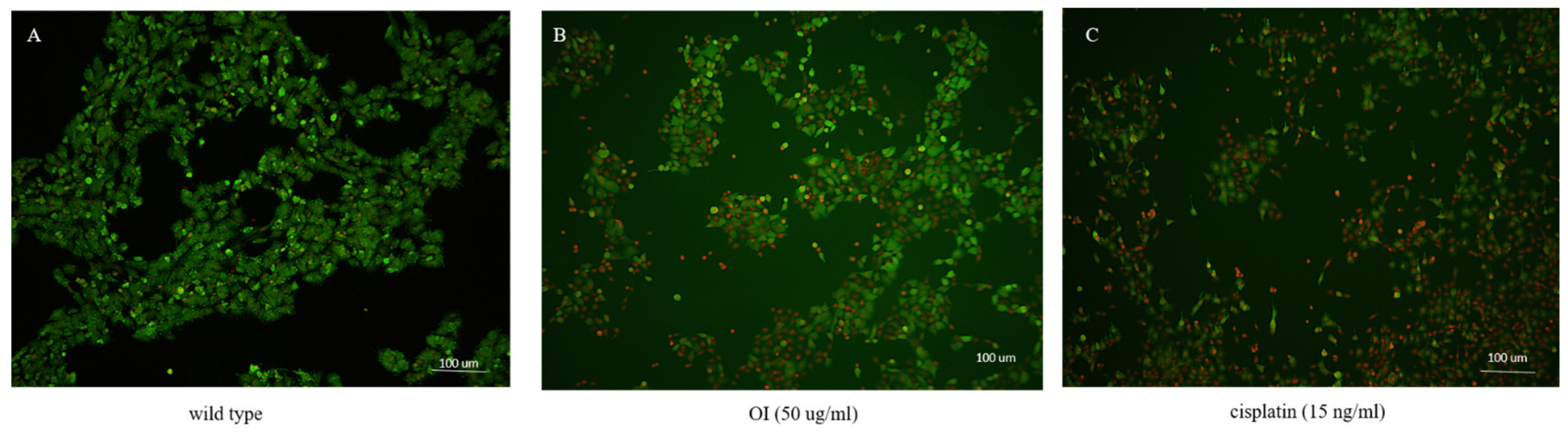 Molecules 26 07430 g004