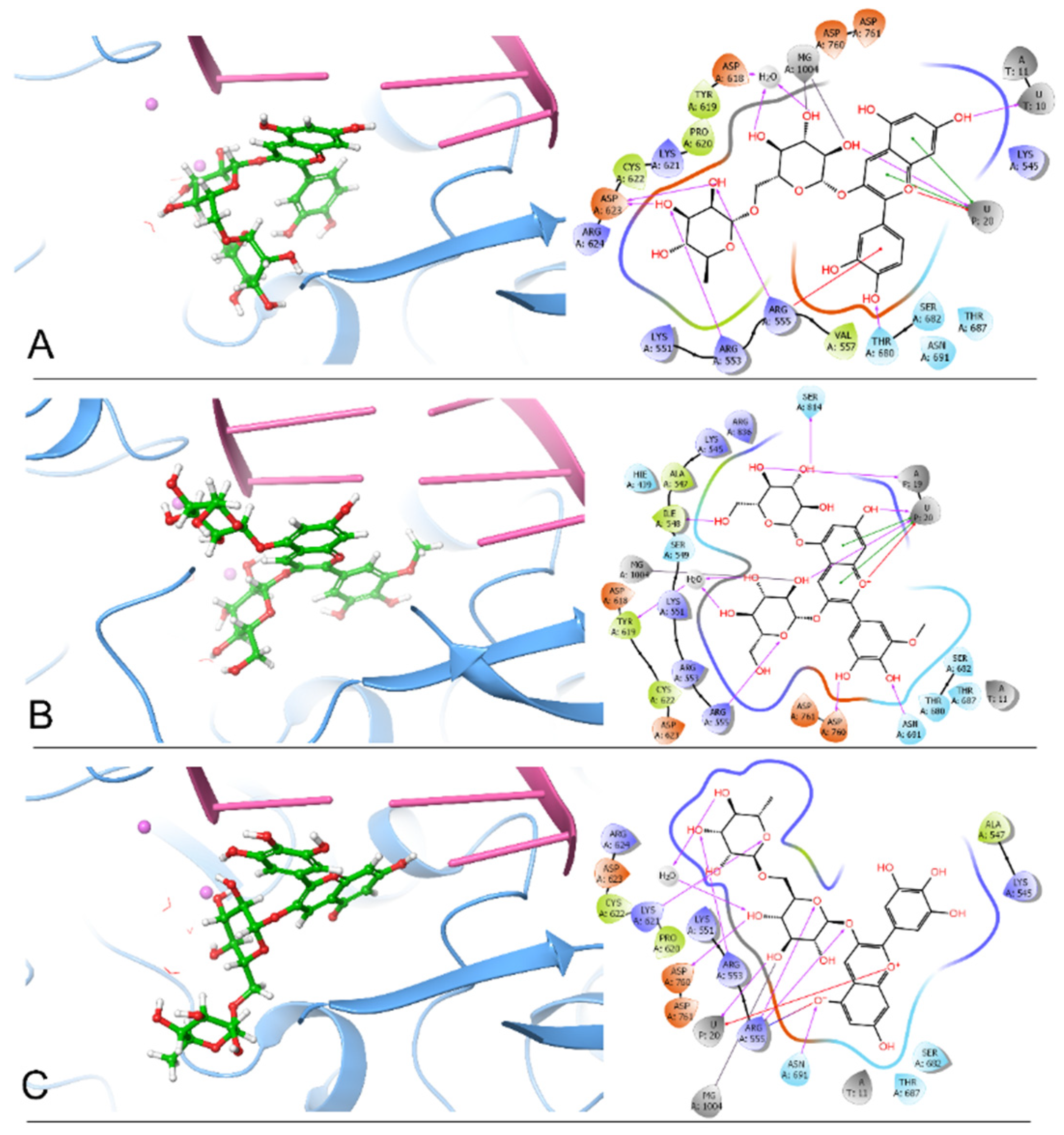 Molecules 26 07438 g001 550
