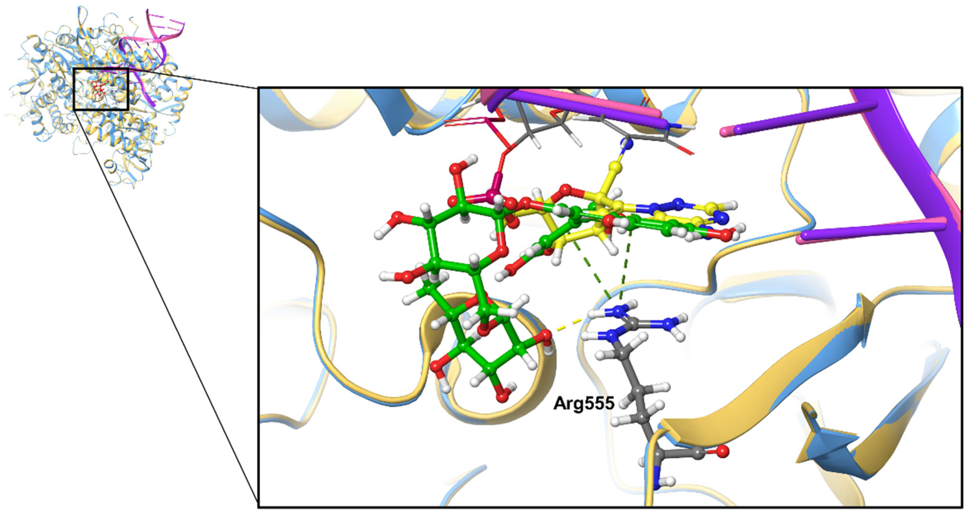Molecules 26 07438 g004 550