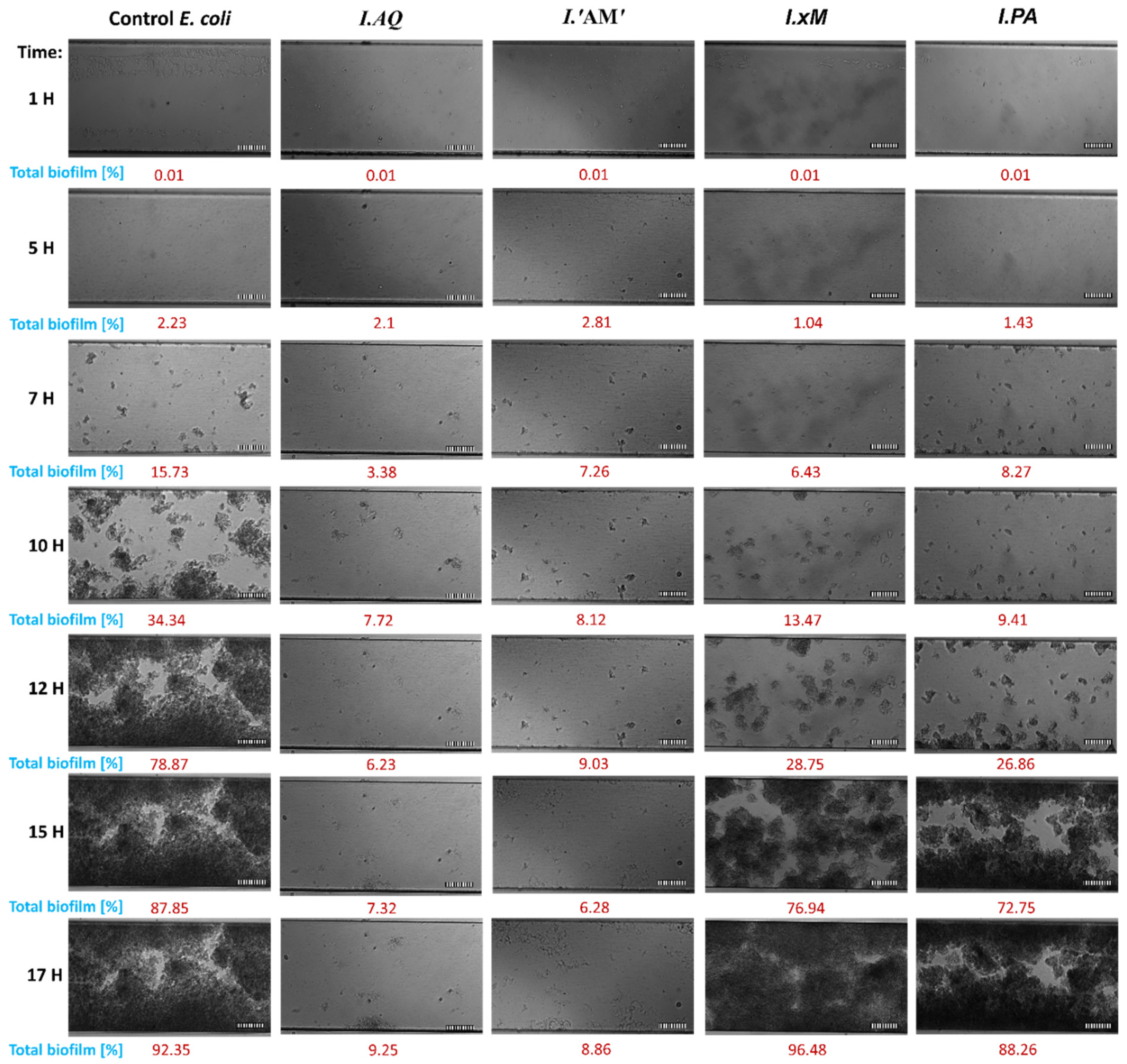 Molecules 26 07442 g002 Molecules 26 07442 g002