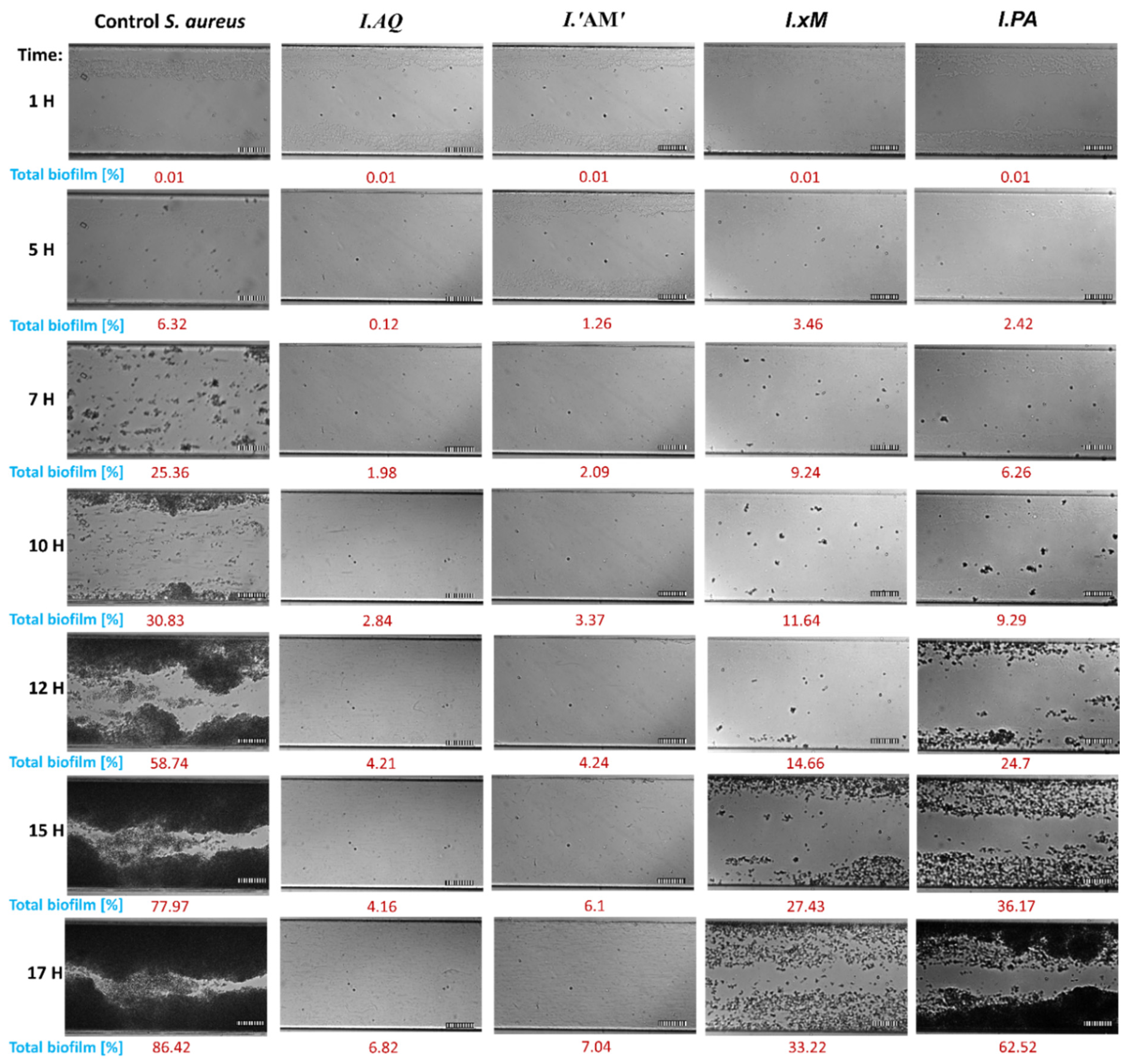 Molecules 26 07442 g003 Molecules 26 07442 g003