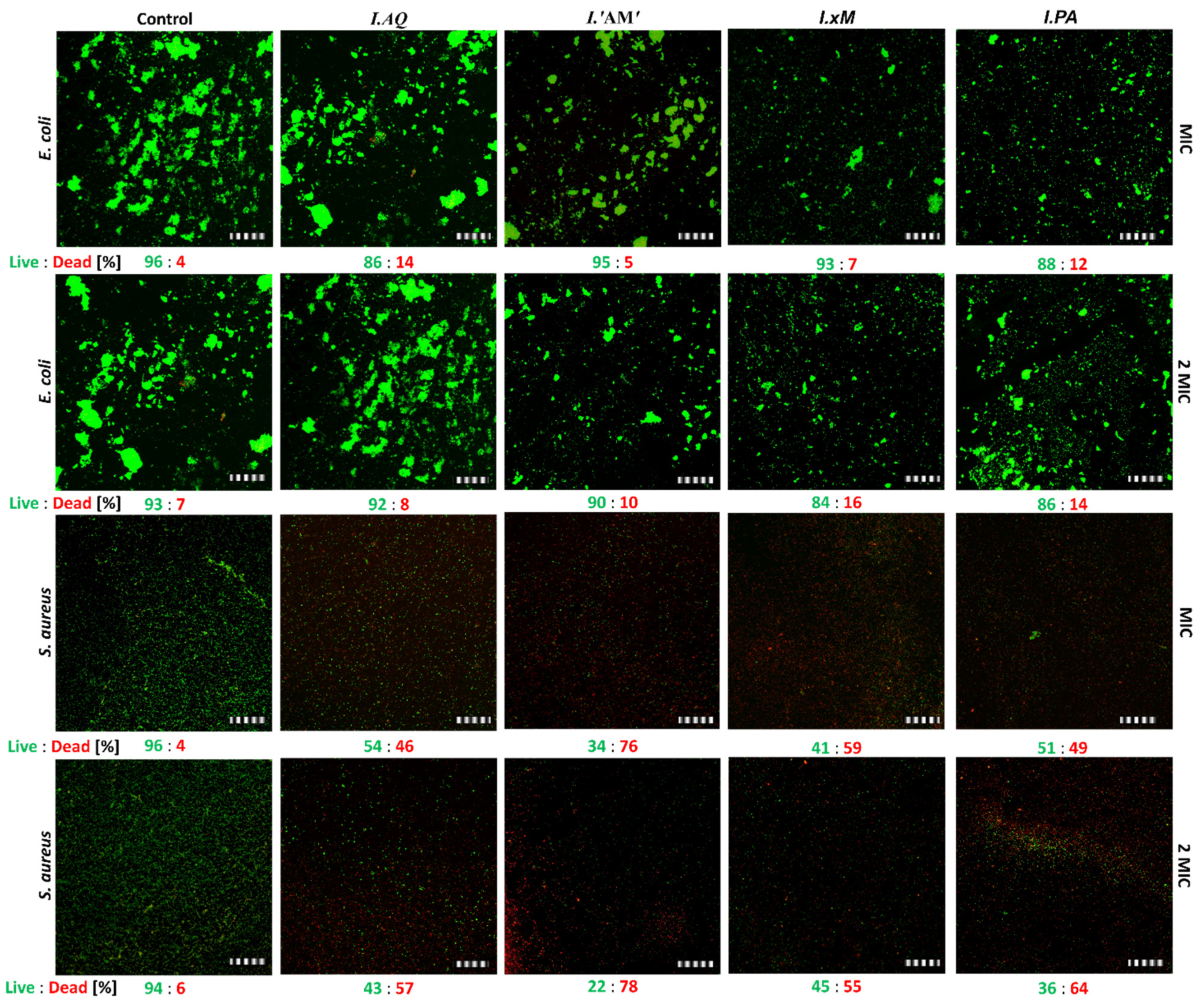 Molecules 26 07442 g006 Molecules 26 07442 g006