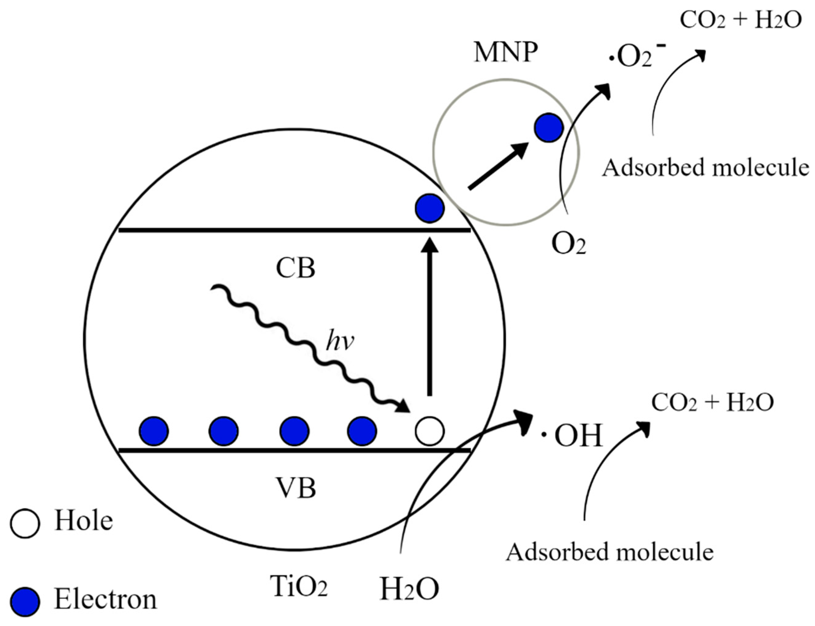 Molecules 26 07443 g003