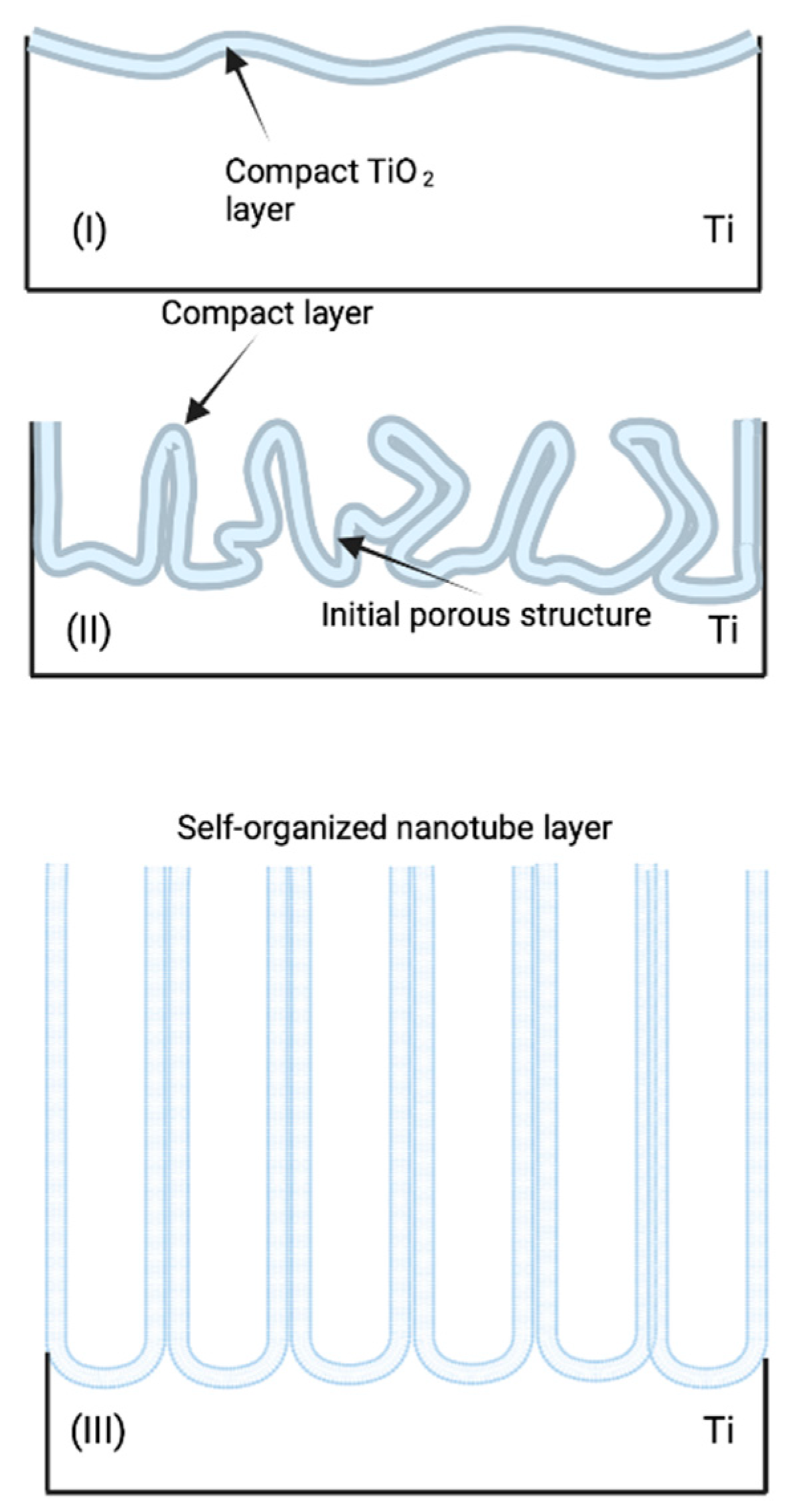 Molecules 26 07443 g005