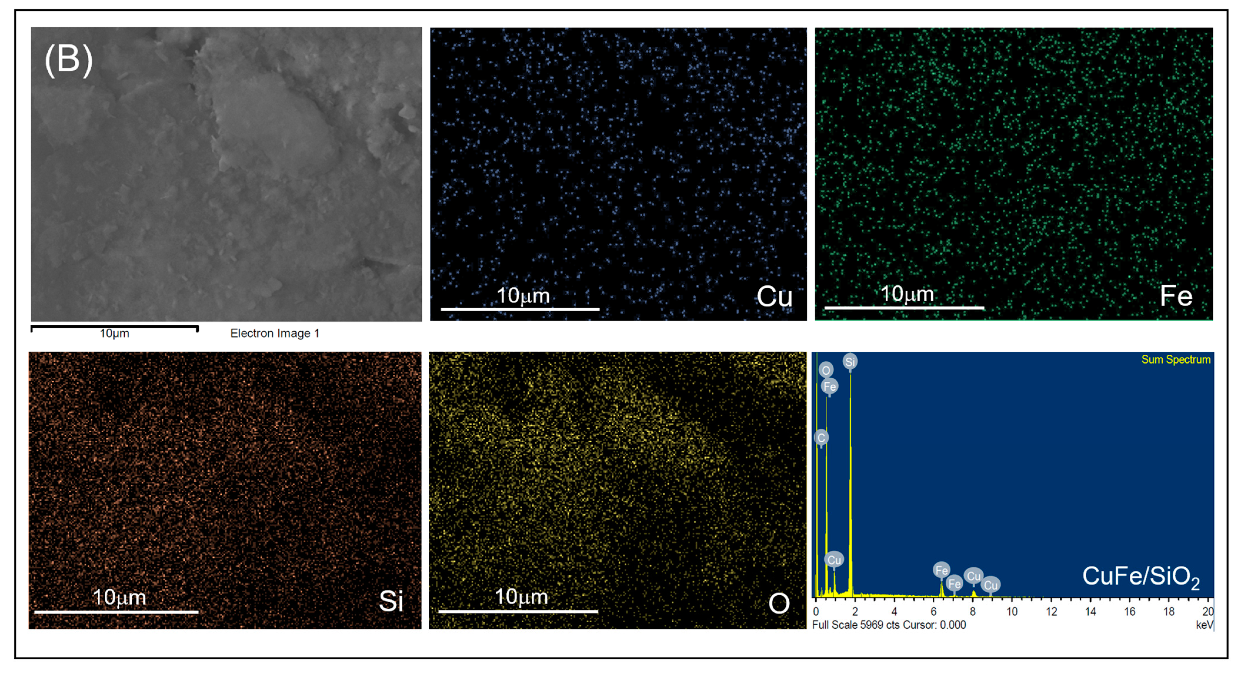 Molecules 26 07444 g006b Molecules 26 07444 g006b