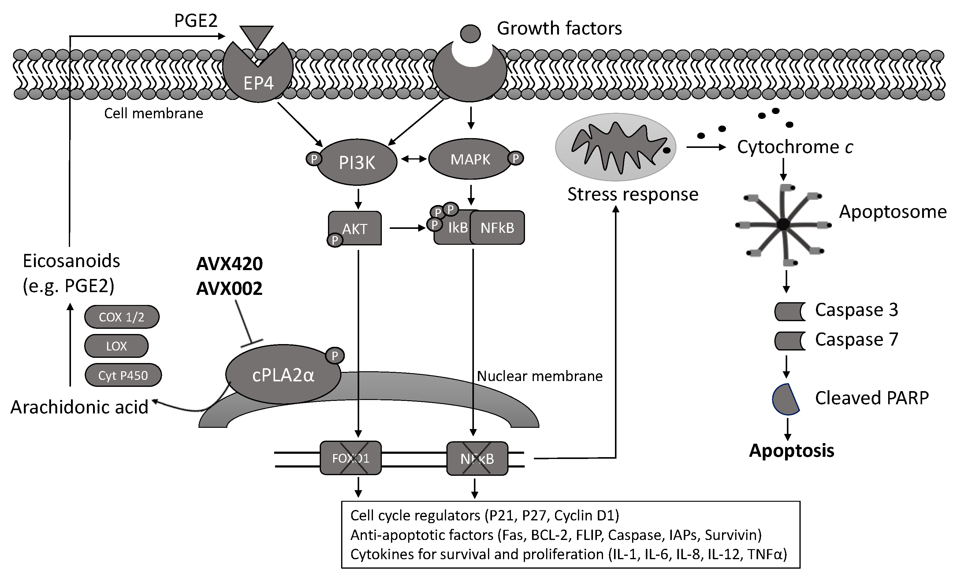 Molecules 26 07447 g006 Molecules 26 07447 g006
