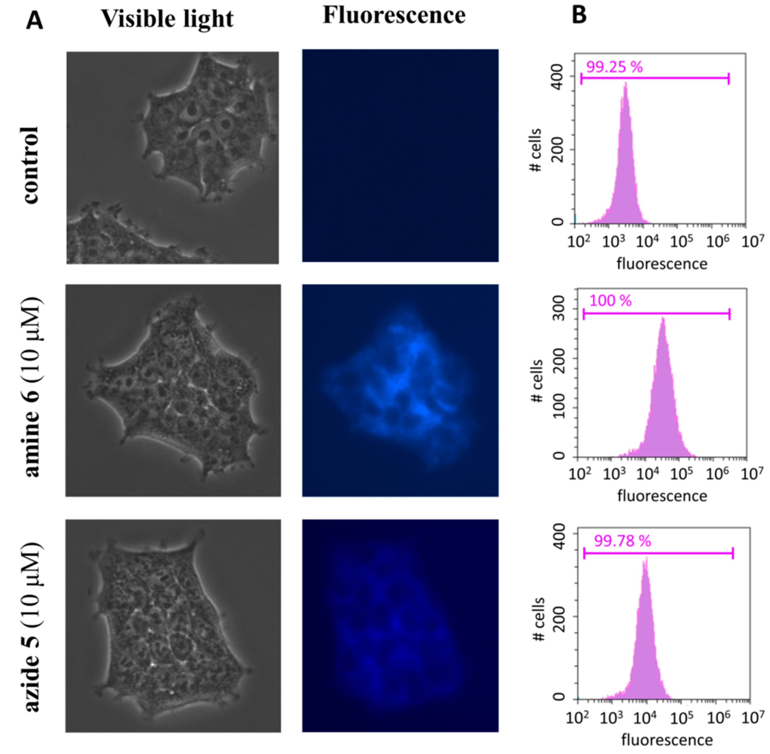 Molecules 26 07460 g007