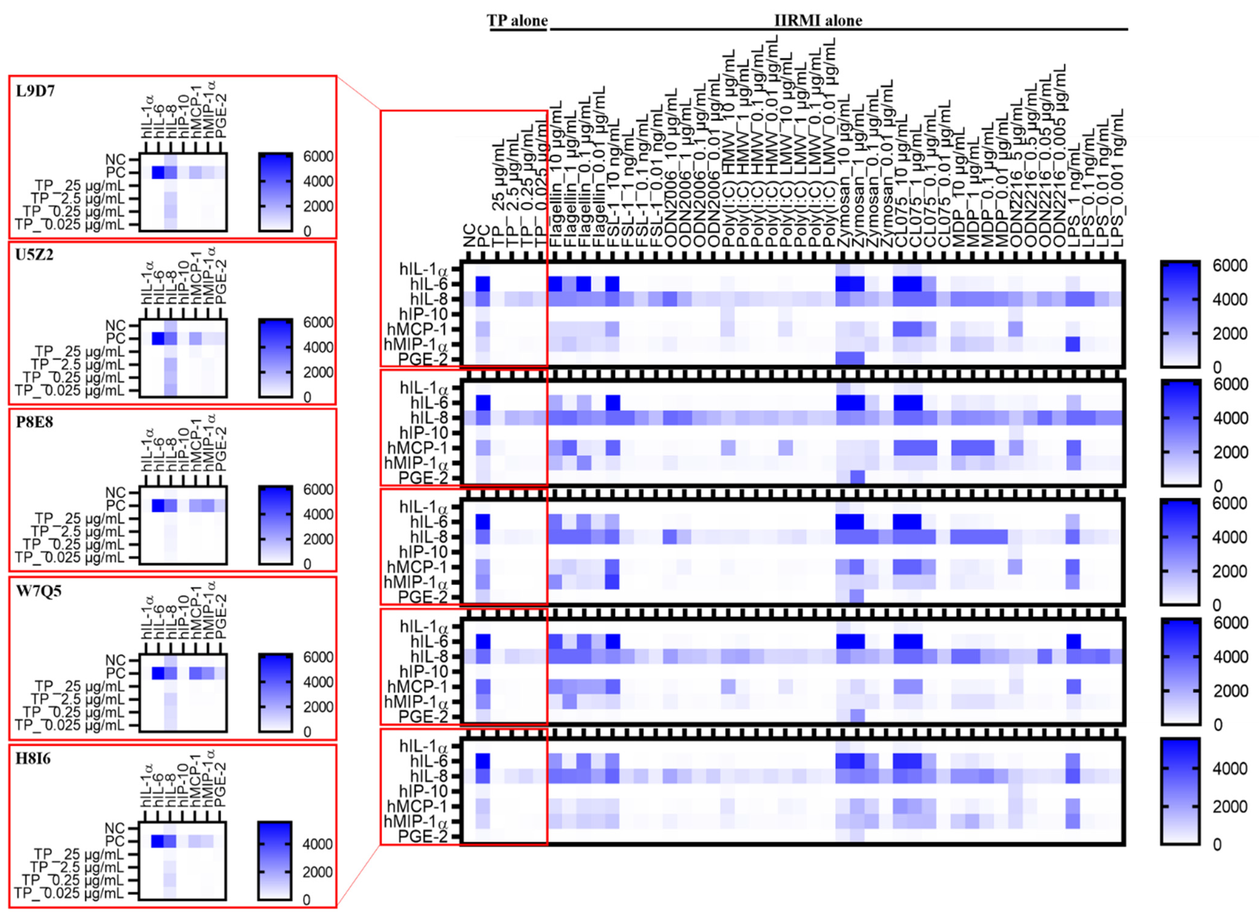 Molecules 26 07461 g005