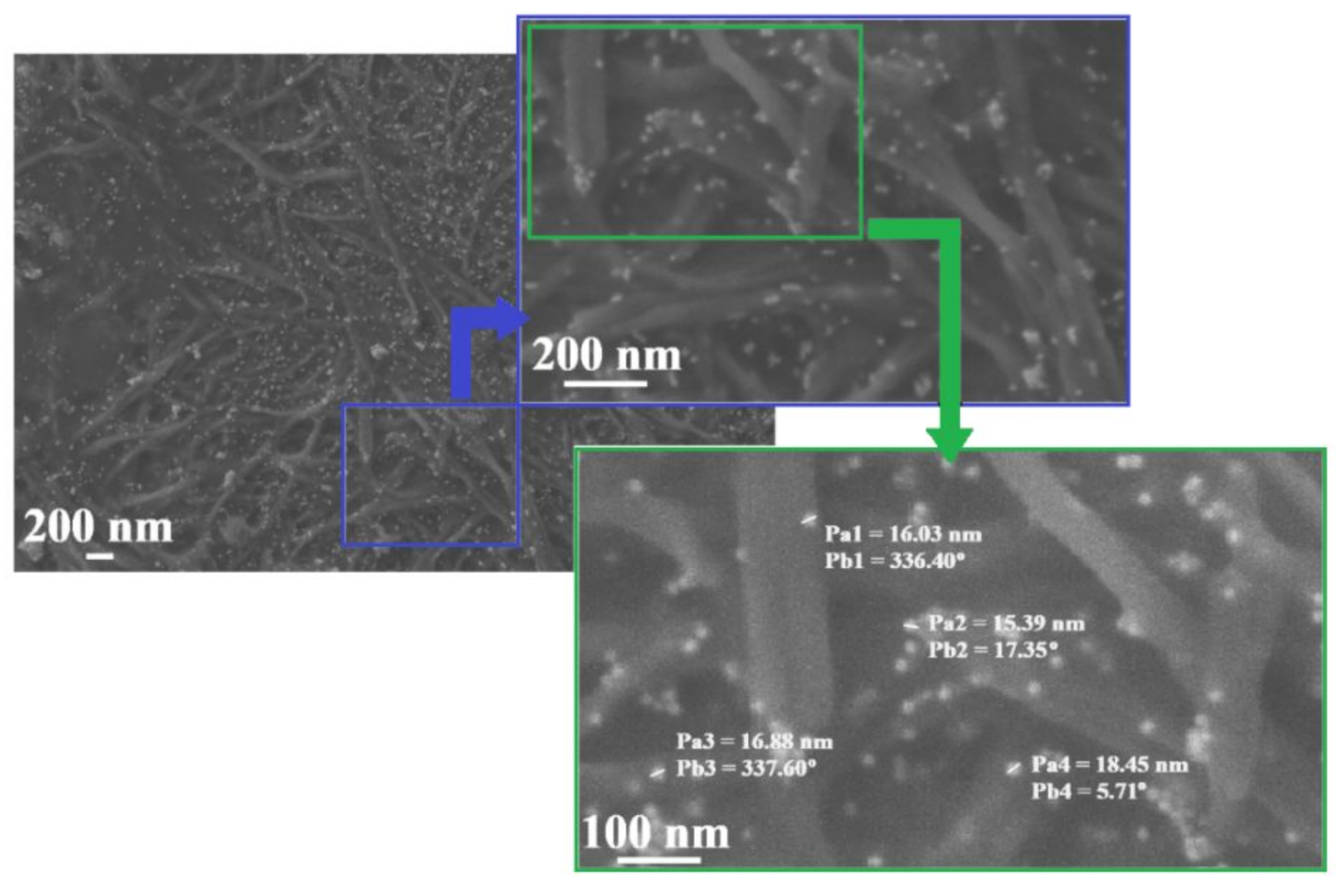 Molecules 26 07462 g006 550