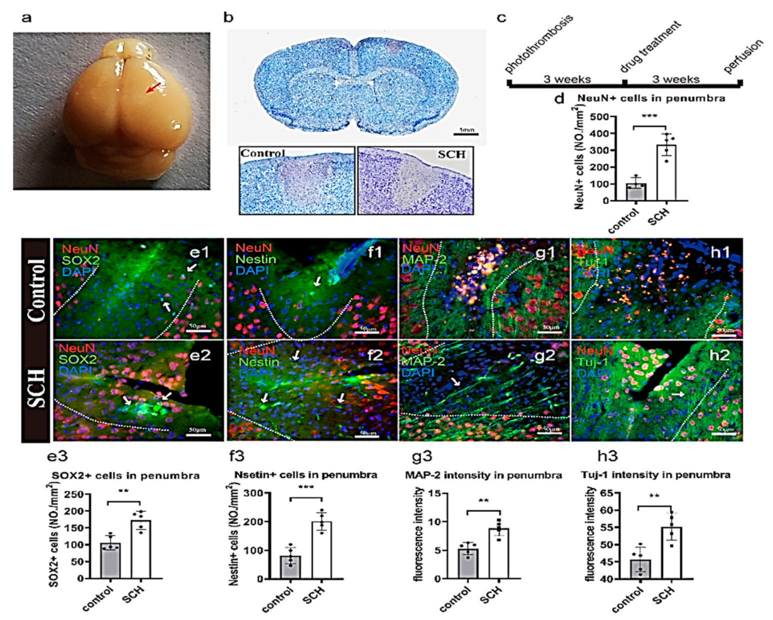 Molecules 26 07466 g002 550