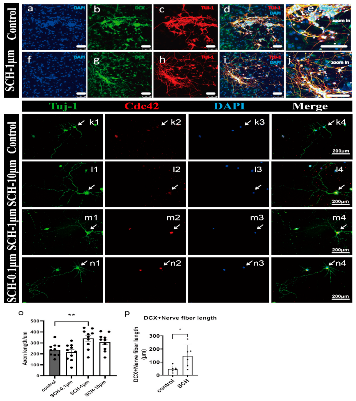 Molecules 26 07466 g004 550