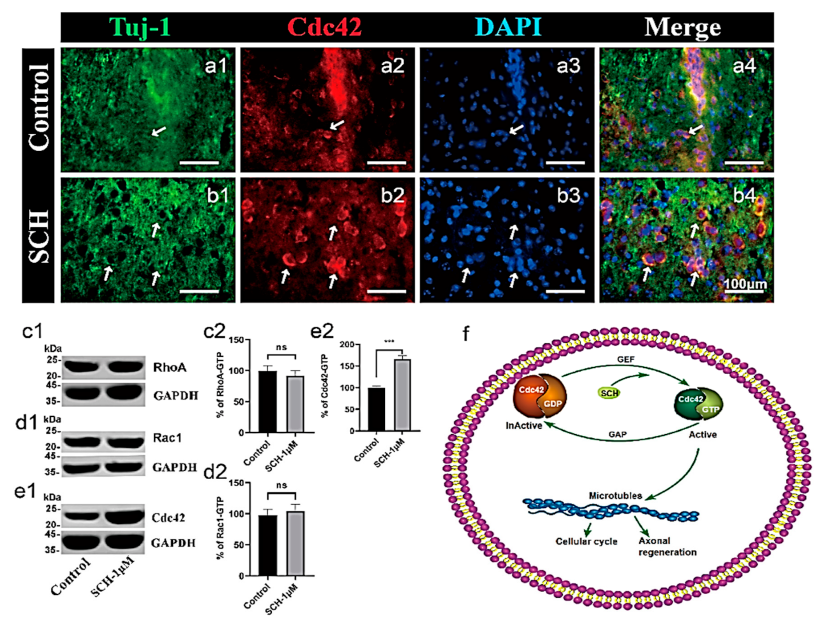 Molecules 26 07466 g005 550