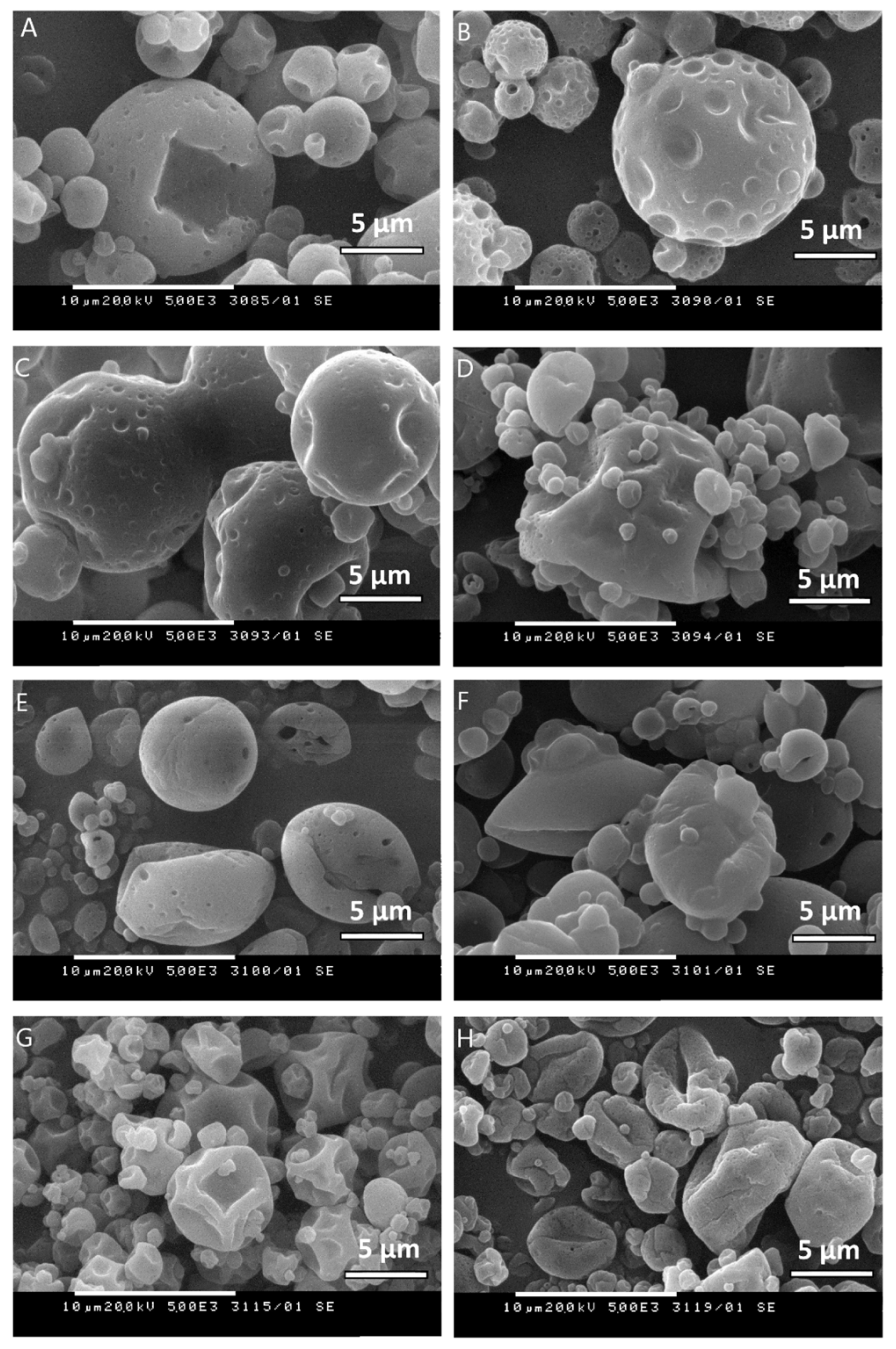 Molecules 26 07467 g001 550