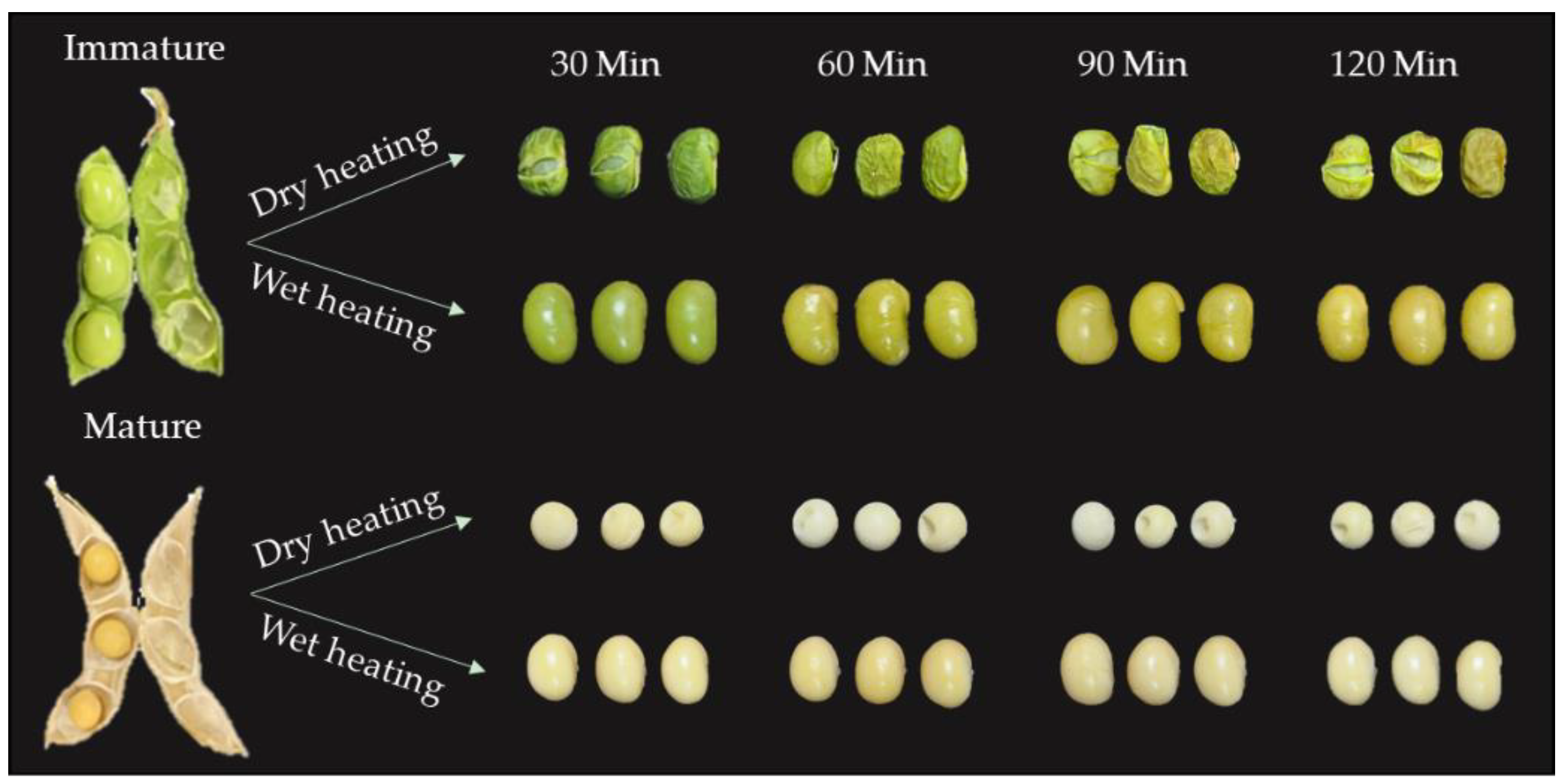 Molecules 26 07471 g001 Molecules 26 07471 g001
