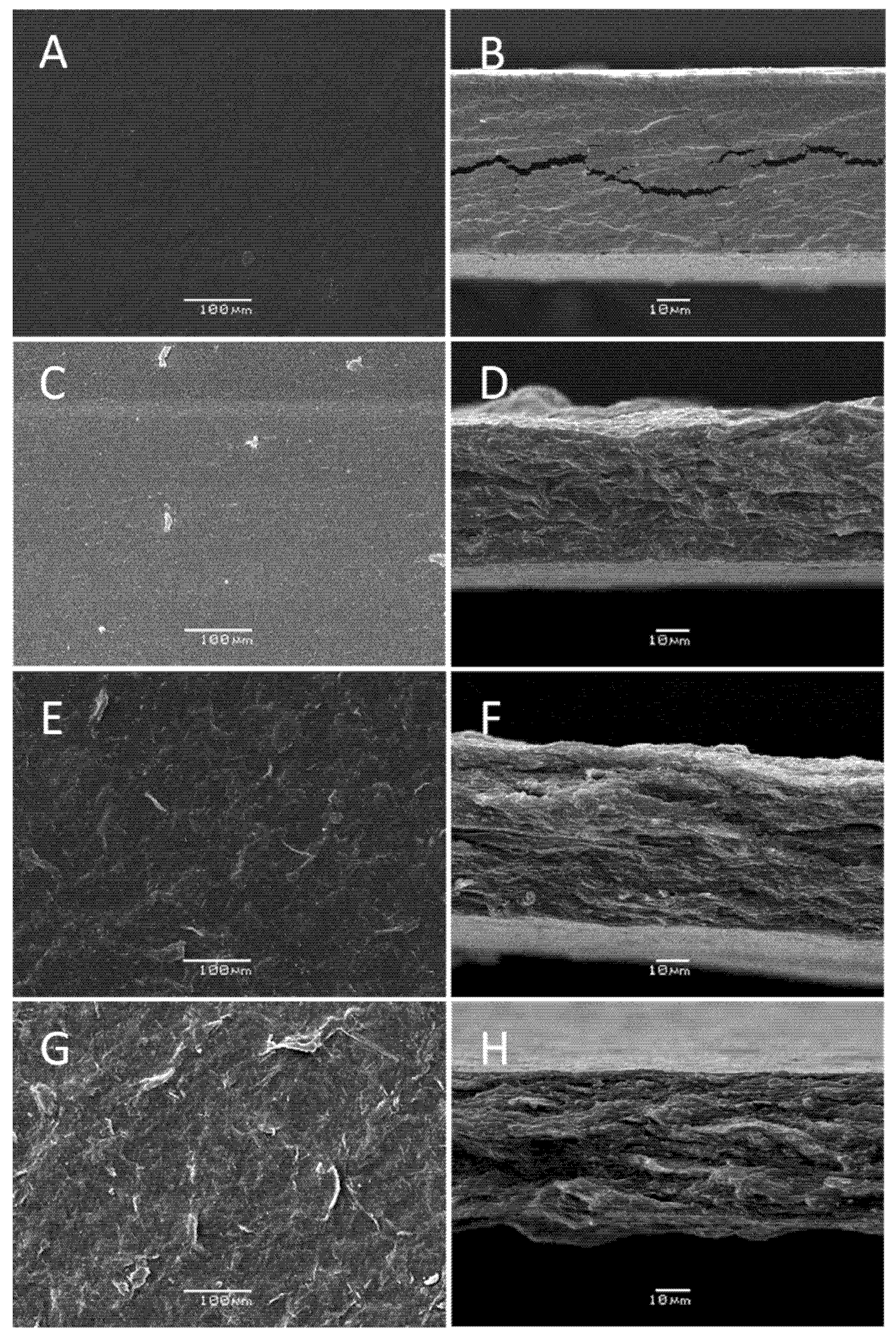 Molecules 26 07477 g004