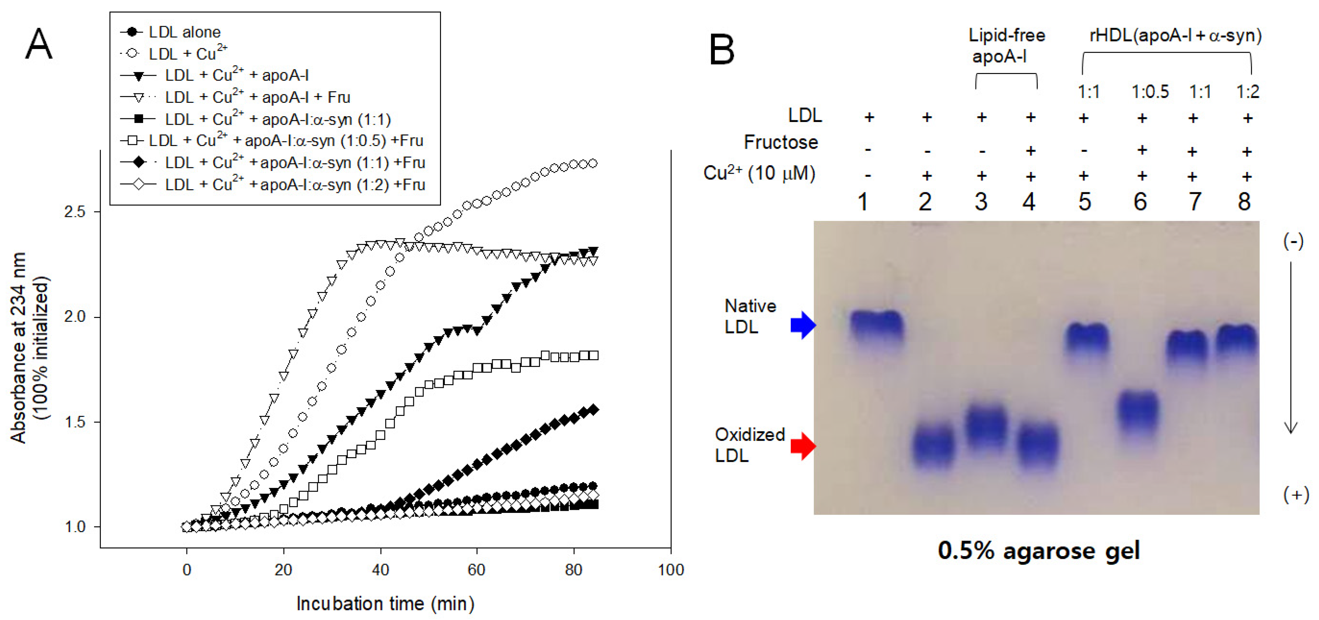 Molecules 26 07485 g010