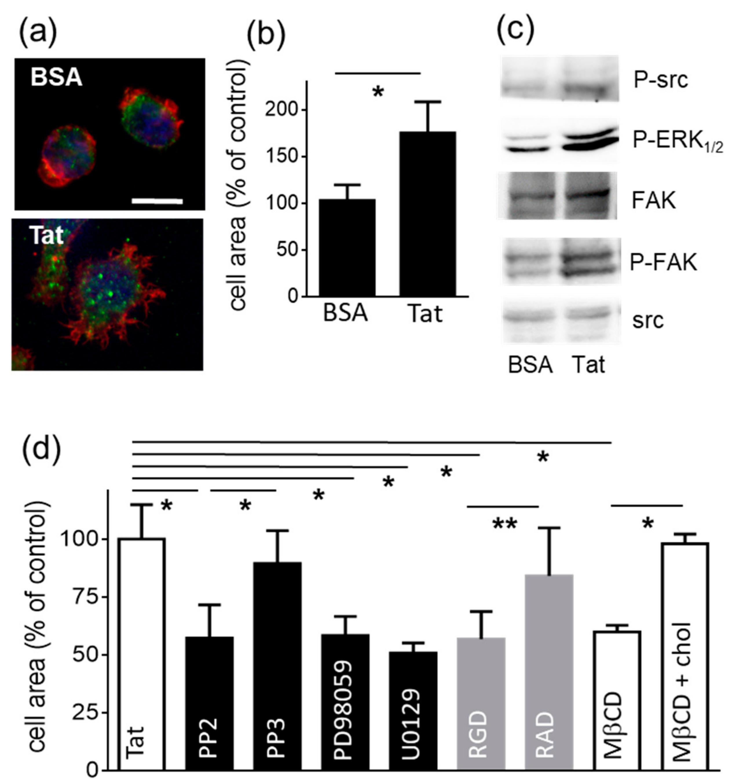 Molecules 26 07488 g001 Molecules 26 07488 g001