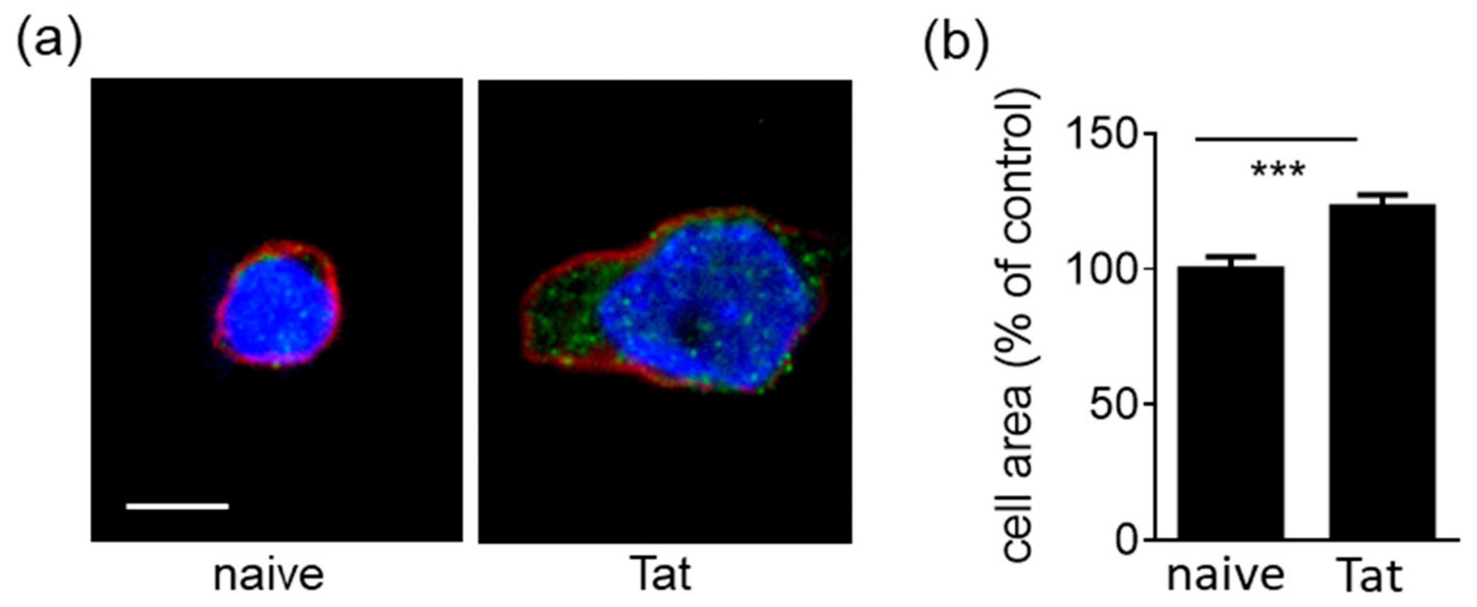 Molecules 26 07488 g003 Molecules 26 07488 g003