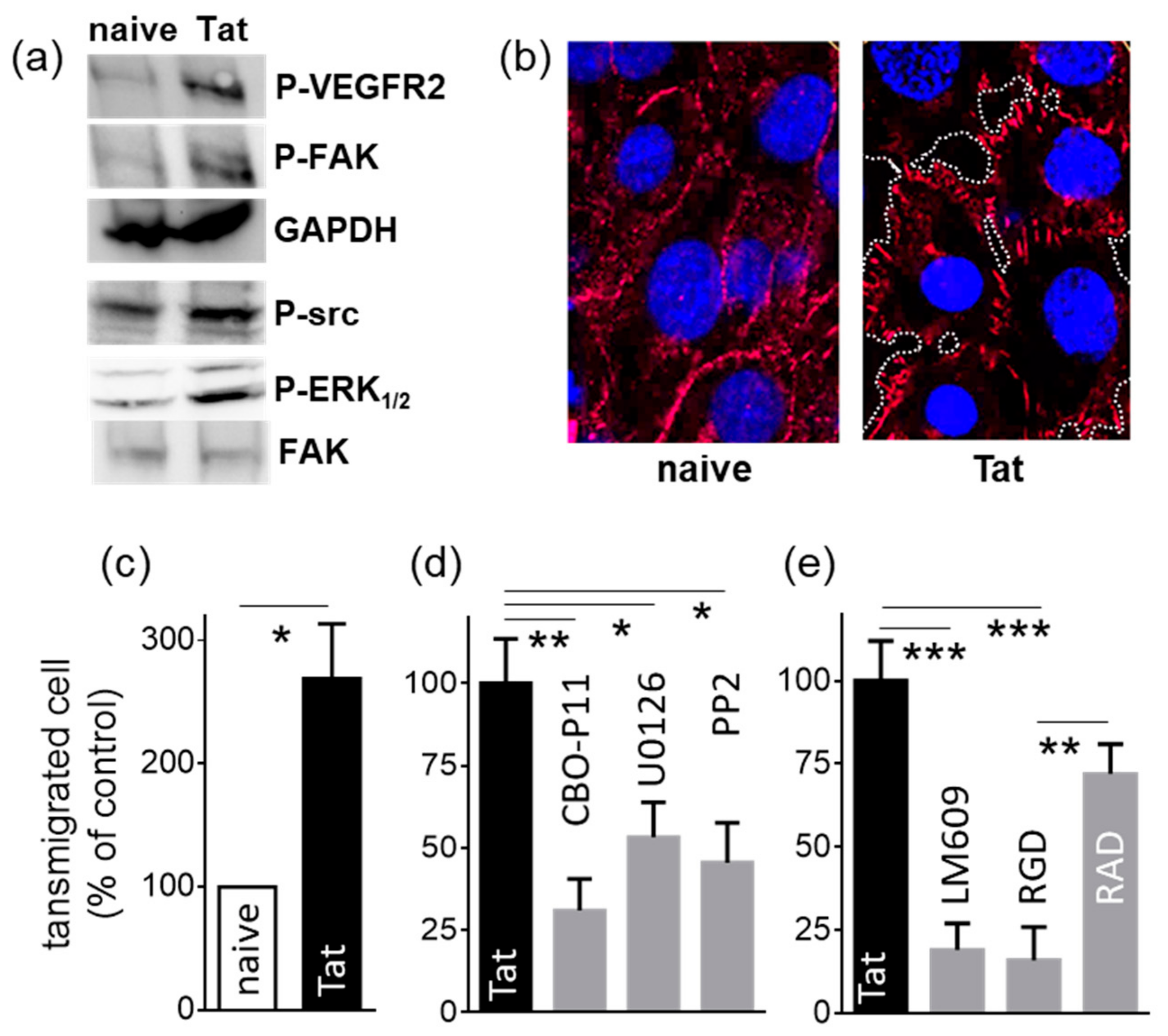 Molecules 26 07488 g004 Molecules 26 07488 g004