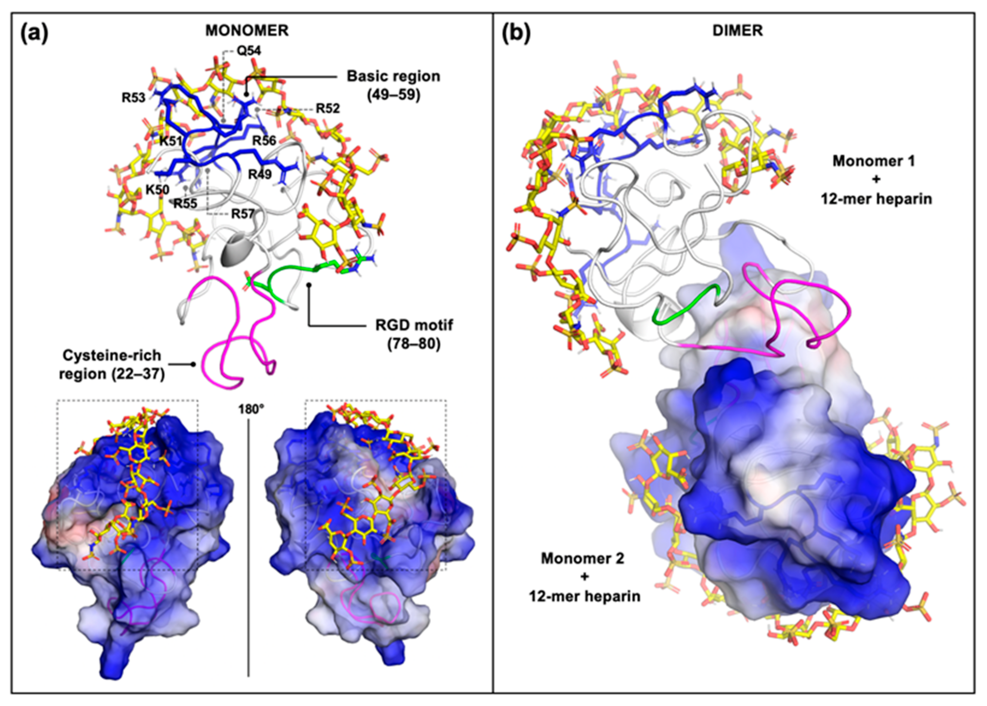 Molecules 26 07488 g005 Molecules 26 07488 g005