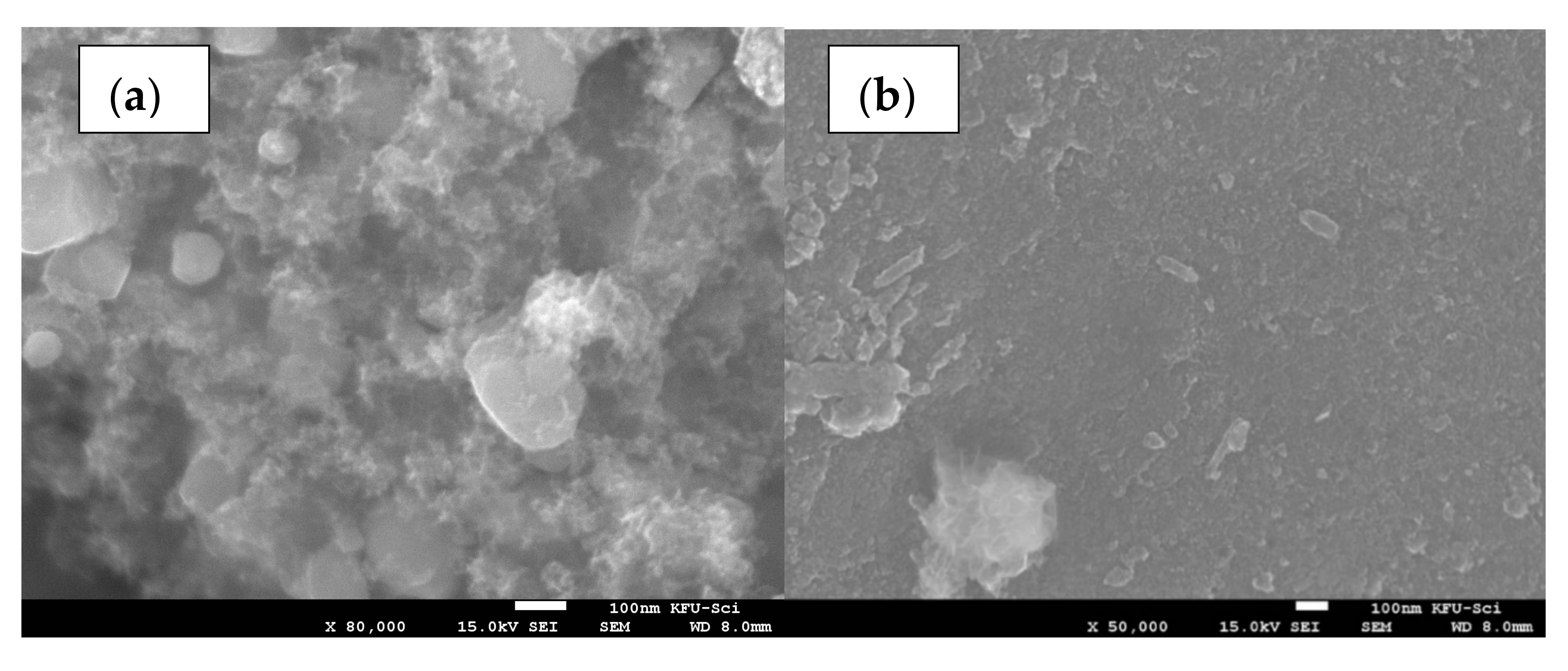 Molecules 26 07489 g001a