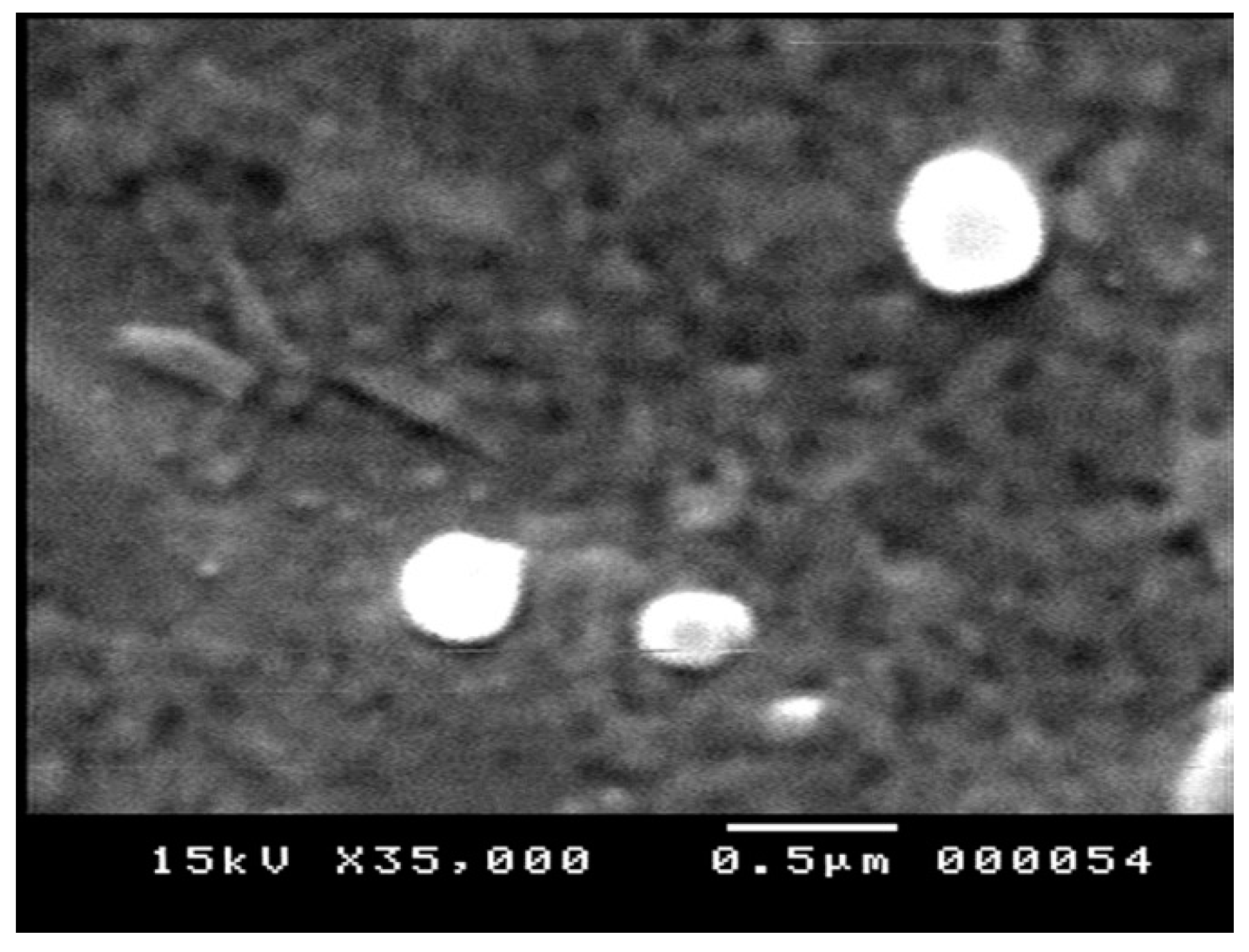 Molecules 26 07491 g001