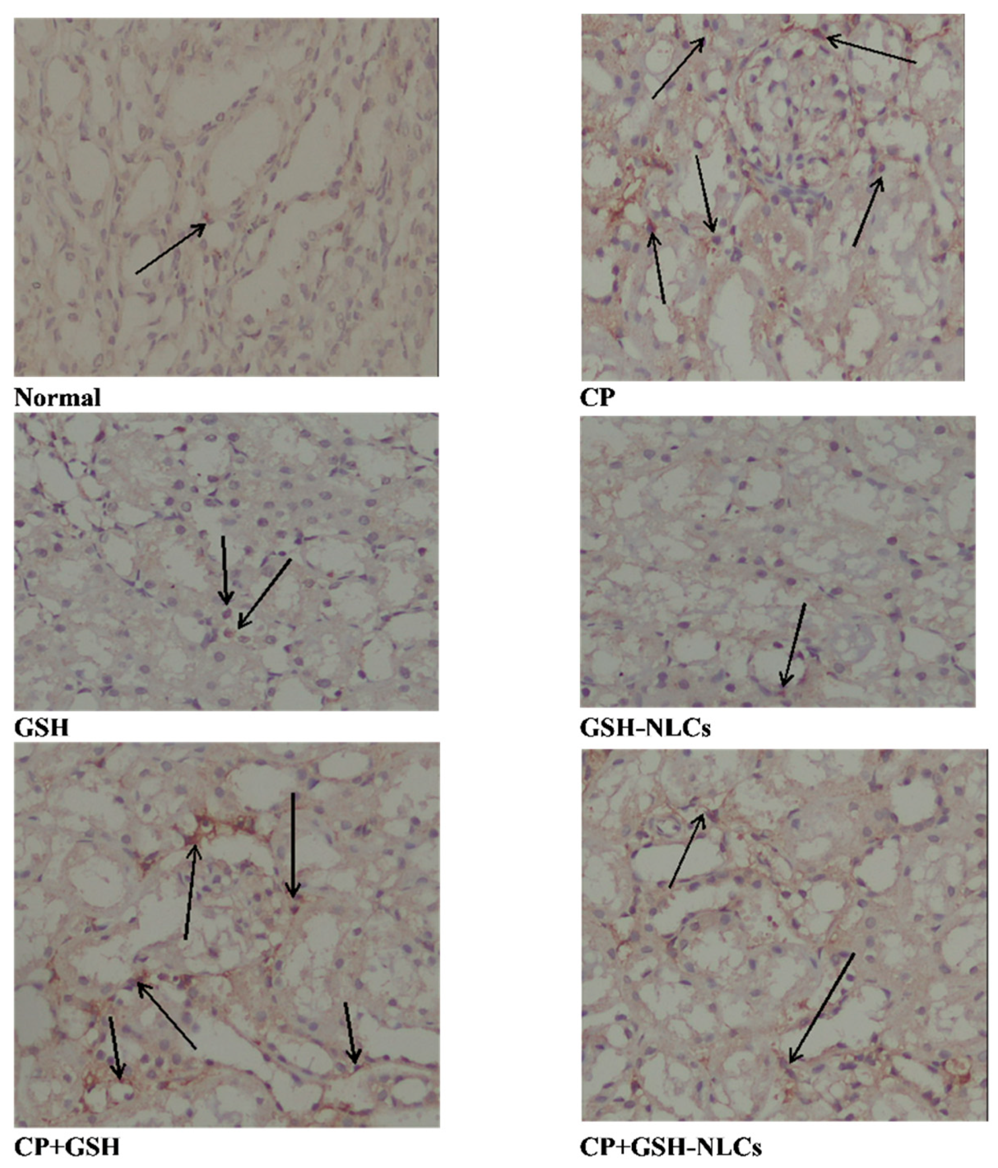 Molecules 26 07491 g008