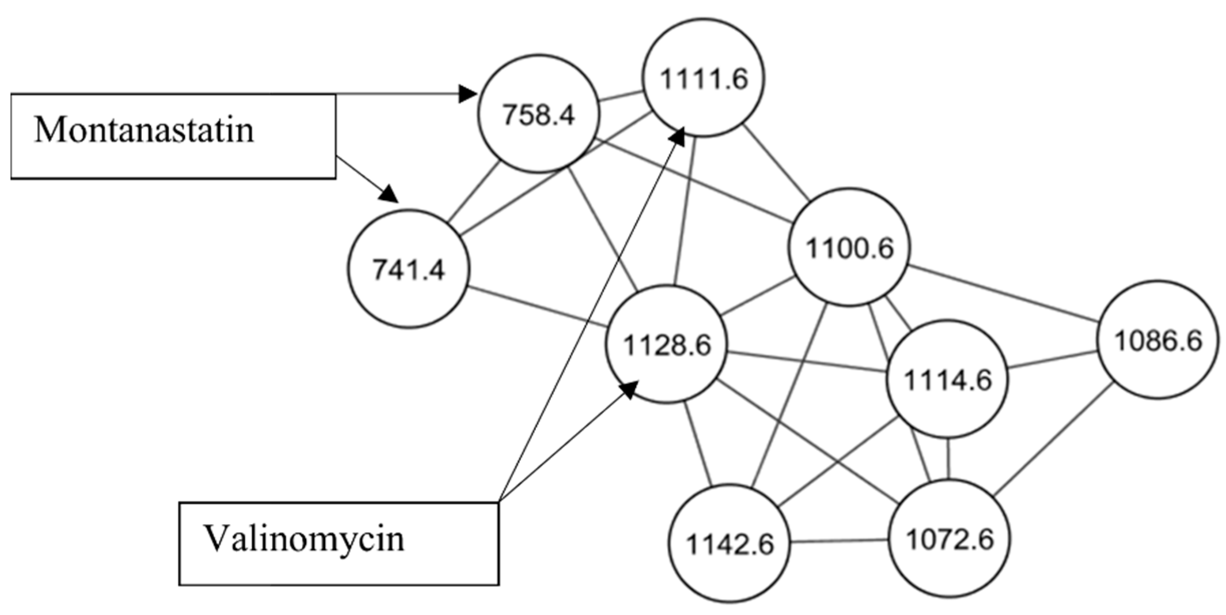 Molecules 26 07494 g001 550