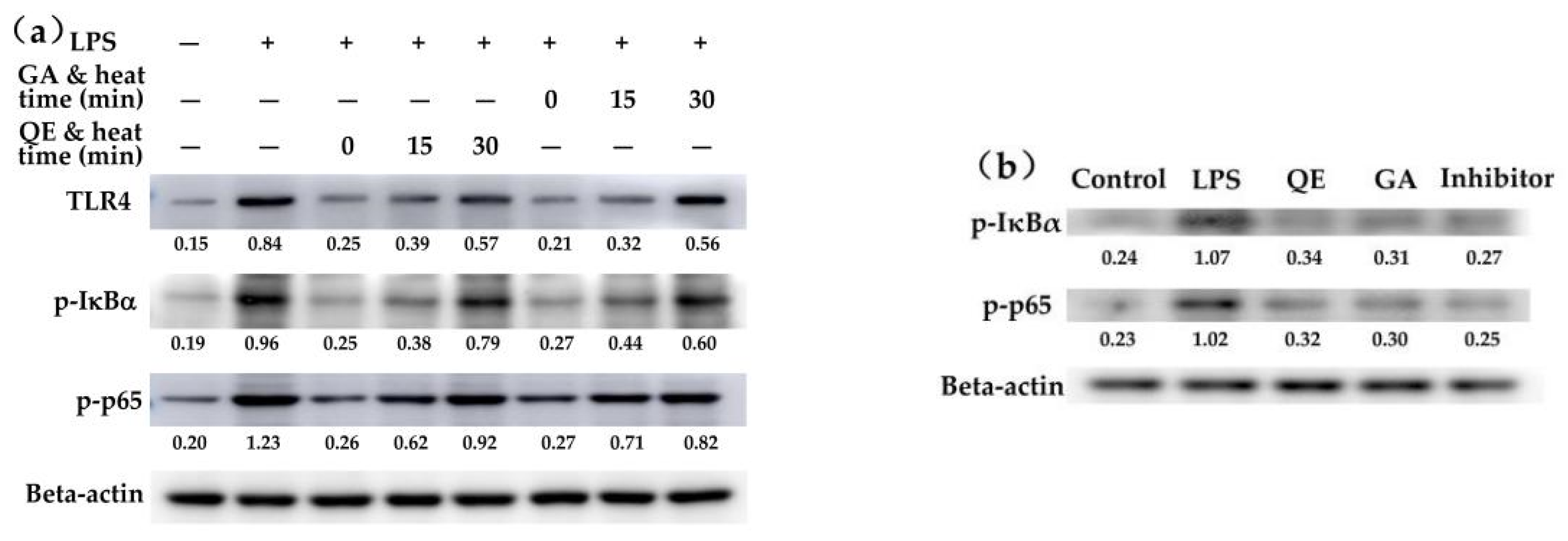 Molecules 26 07495 g003 550