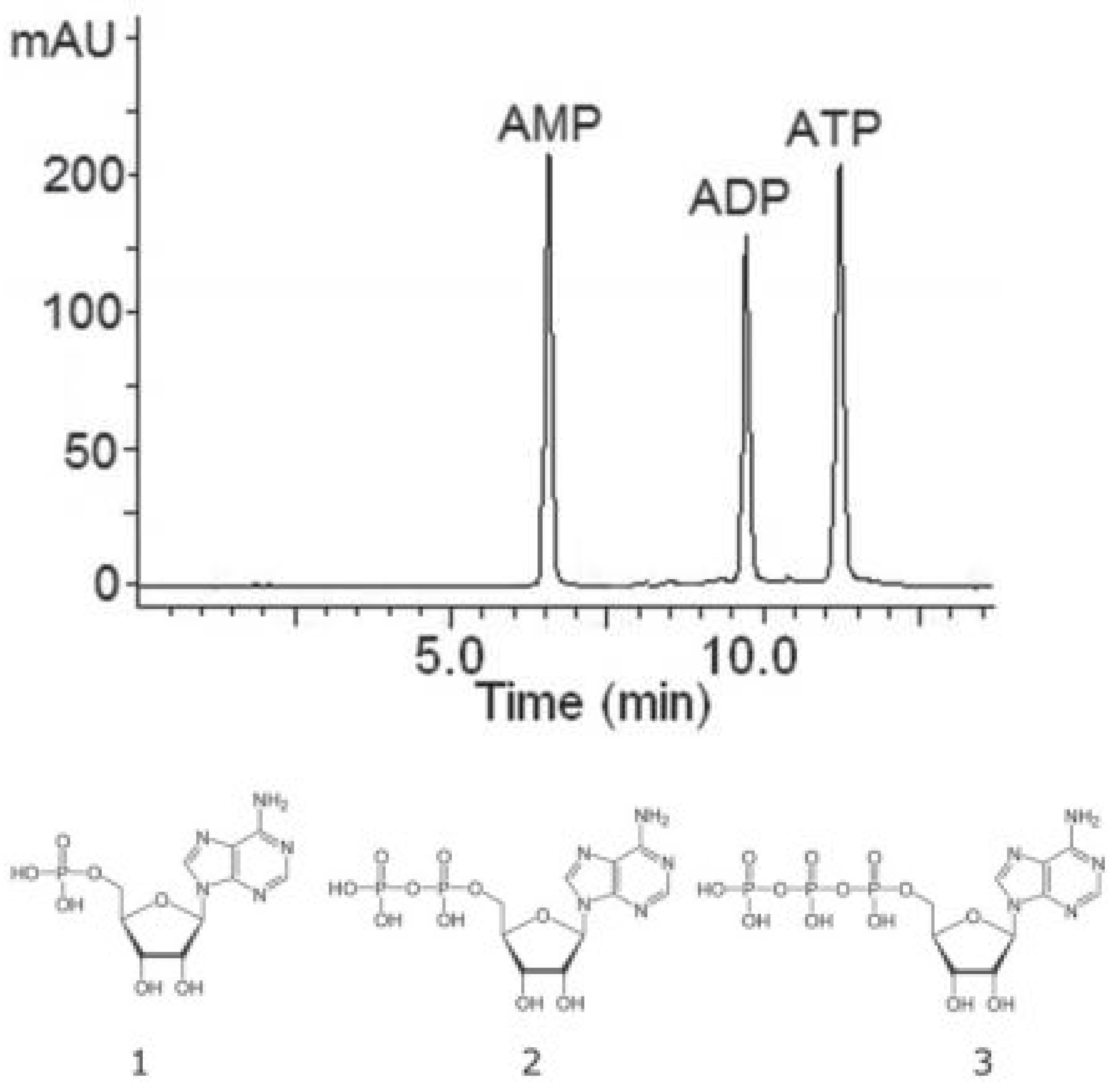 Molecules 26 07505 g005 Molecules 26 07505 g005