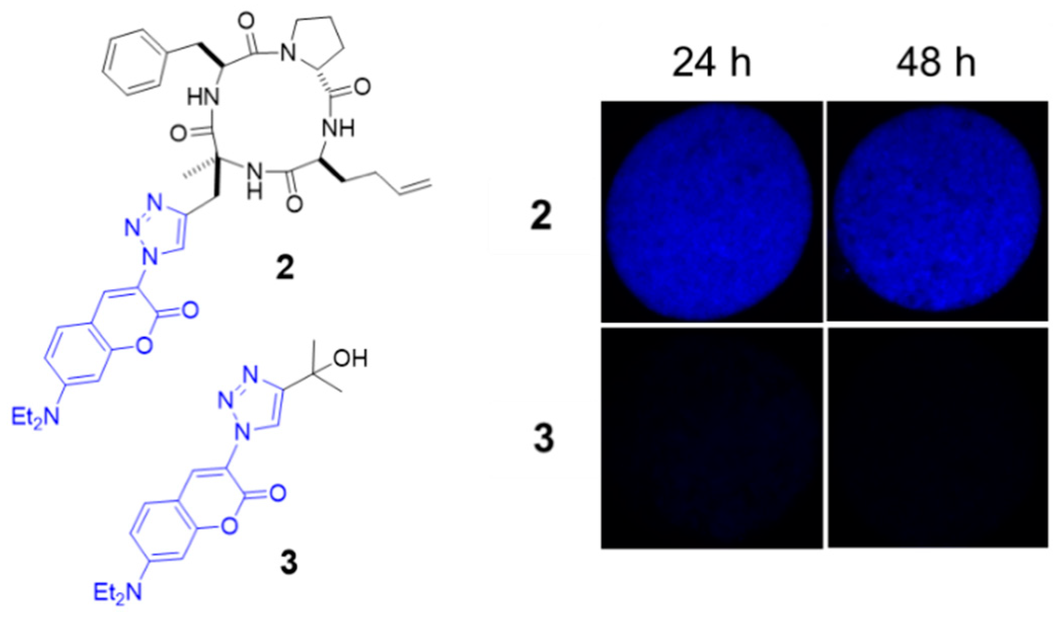 Molecules 26 07506 g002