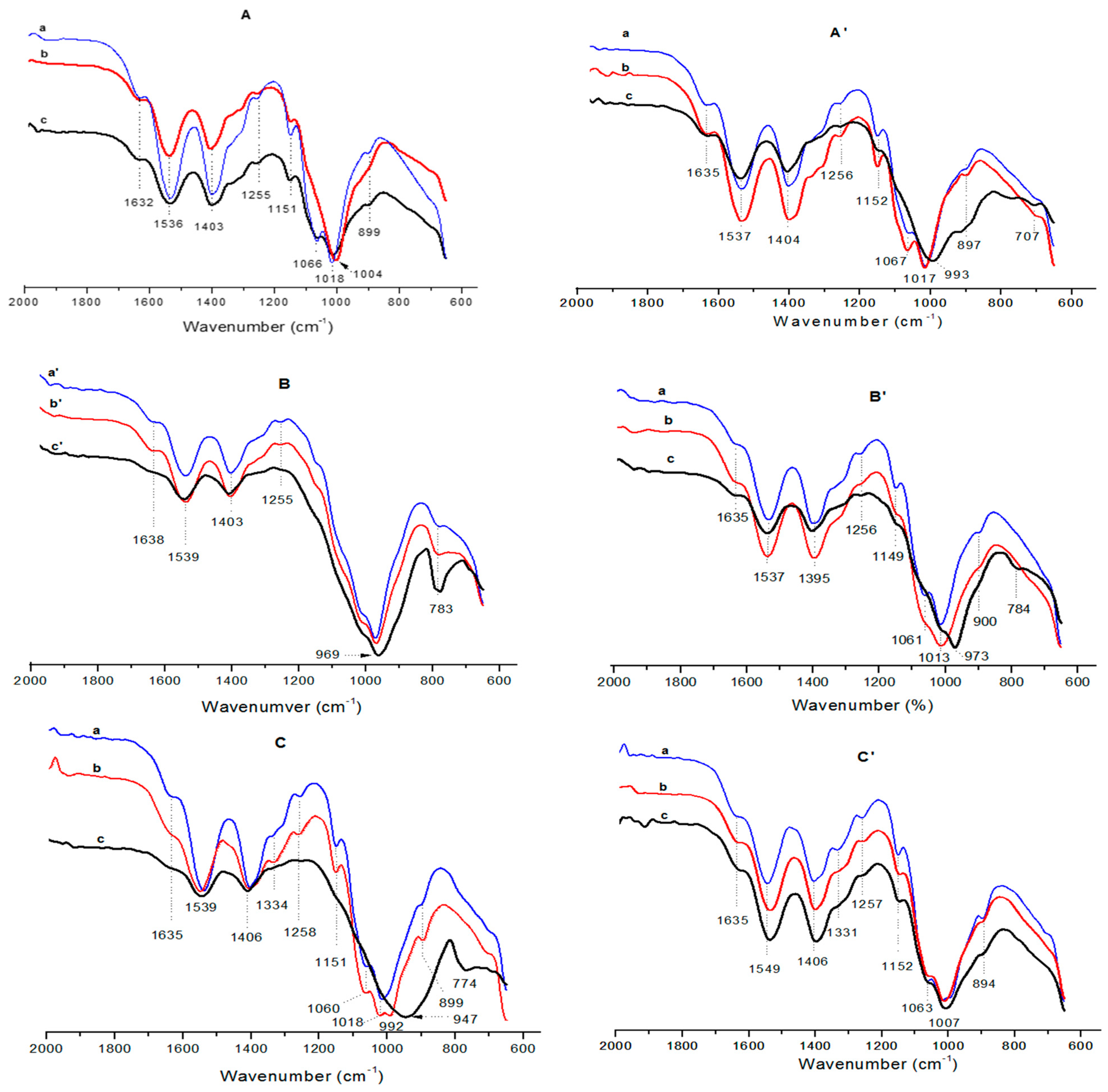 Molecules 26 07514 g007