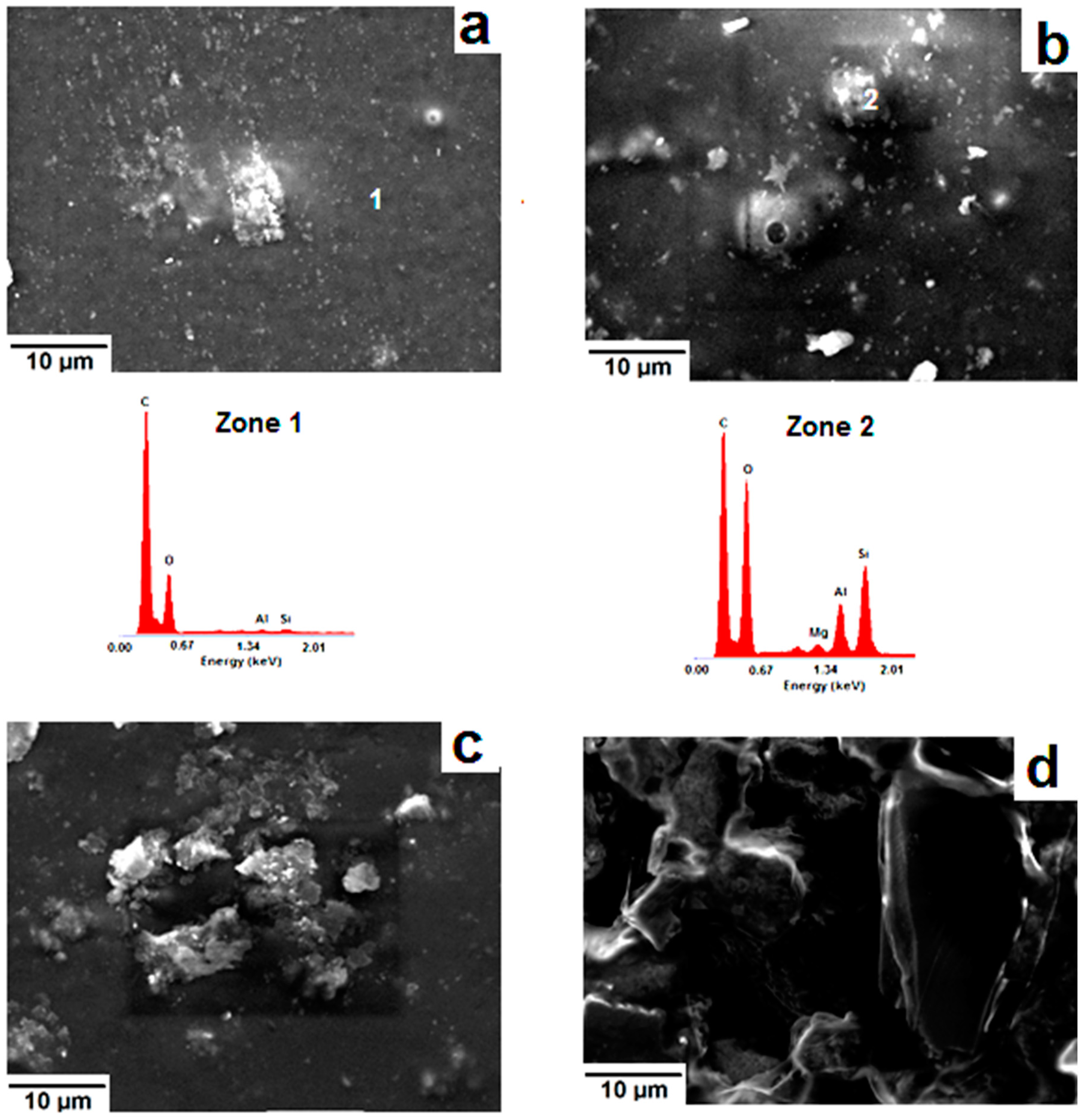 Molecules 26 07514 g008