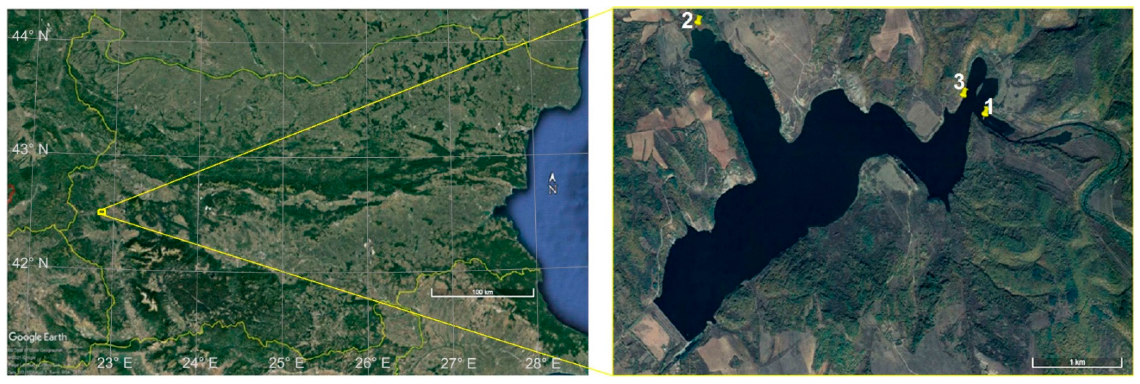 Molecules 26 07517 g005 550