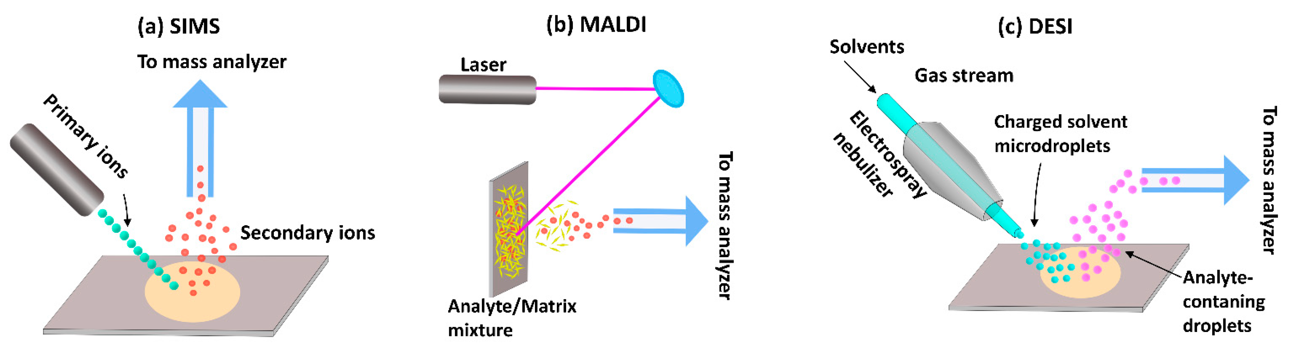 Molecules 26 07522 g002
