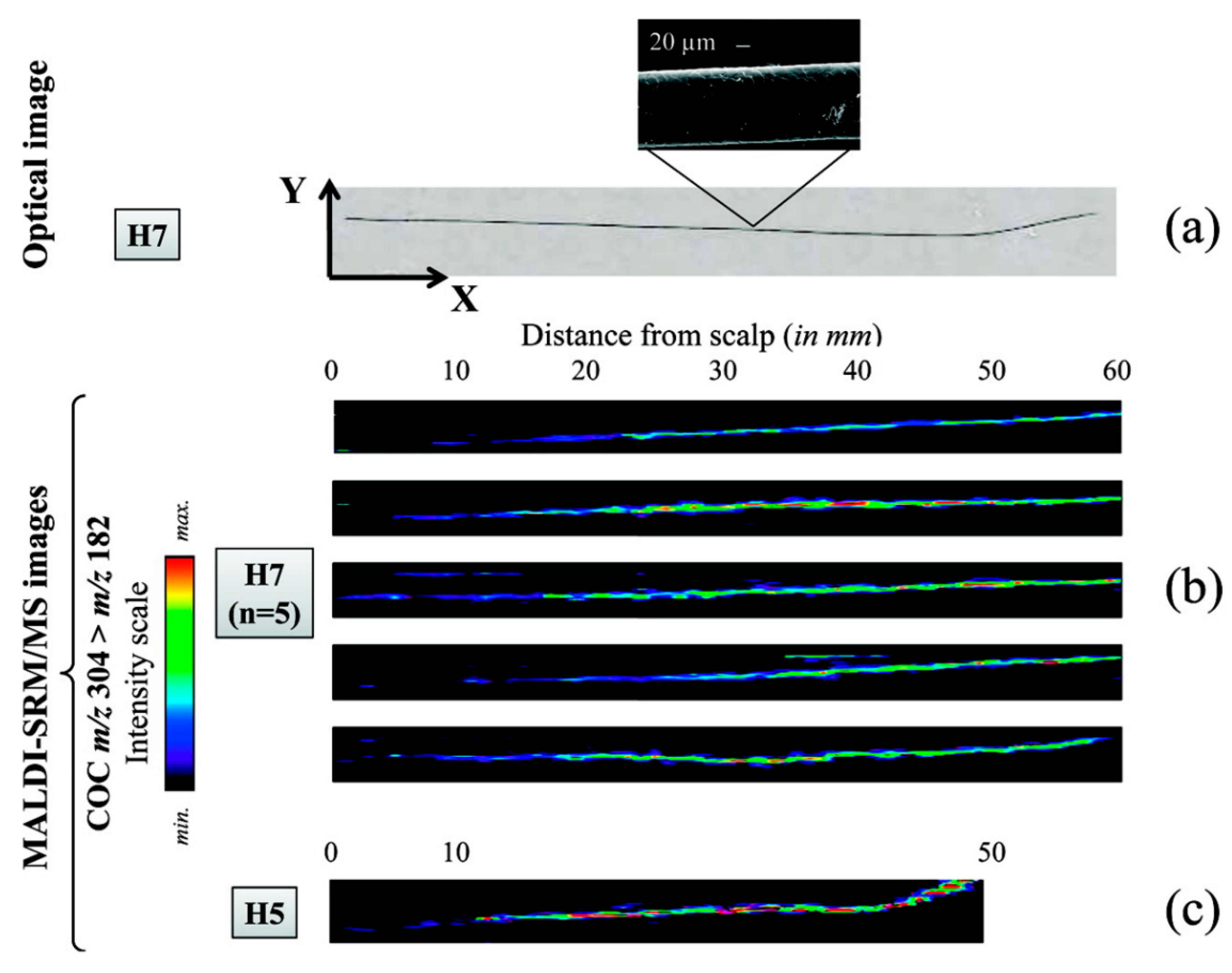 Molecules 26 07522 g008