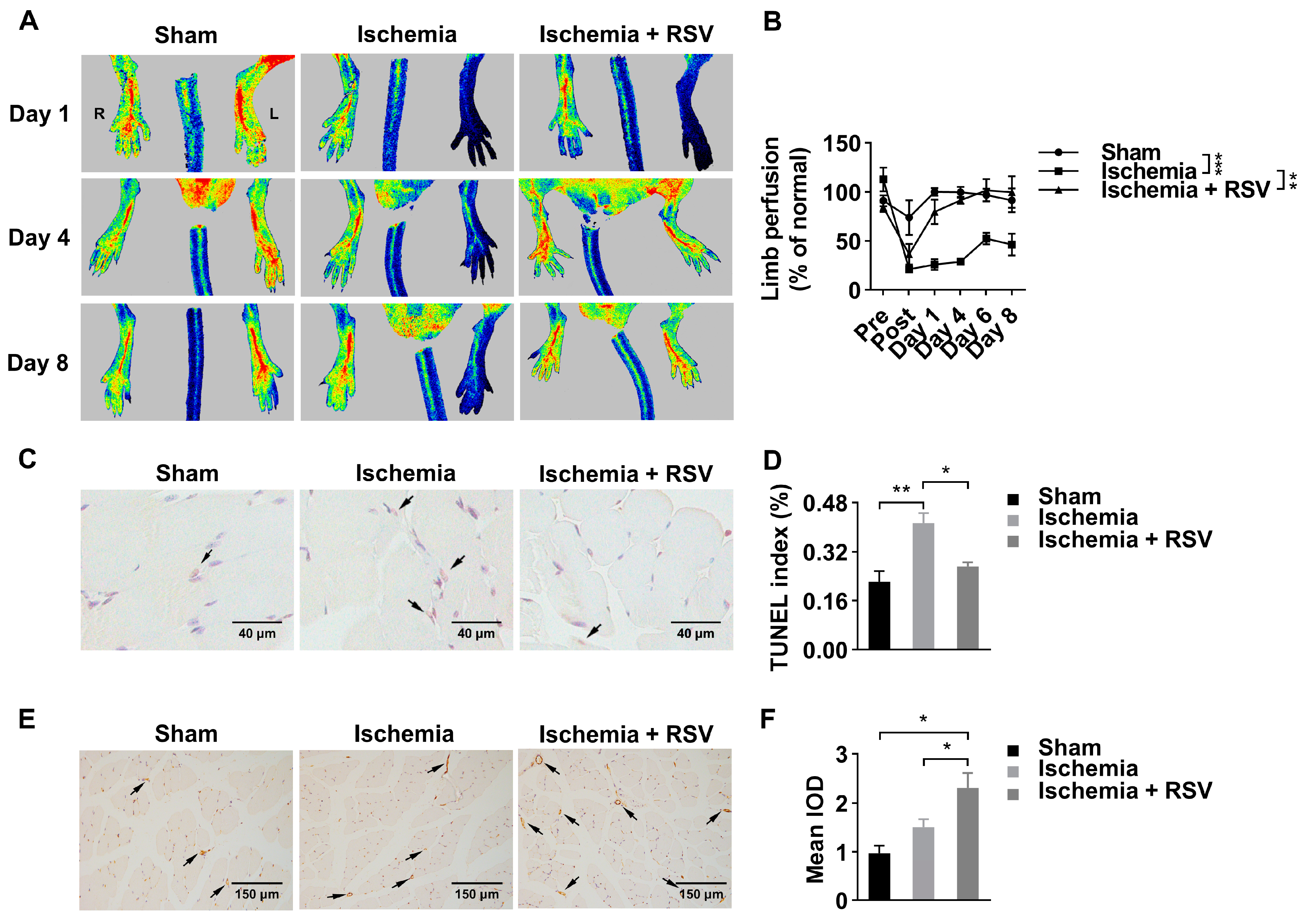 Molecules 26 07528 g001