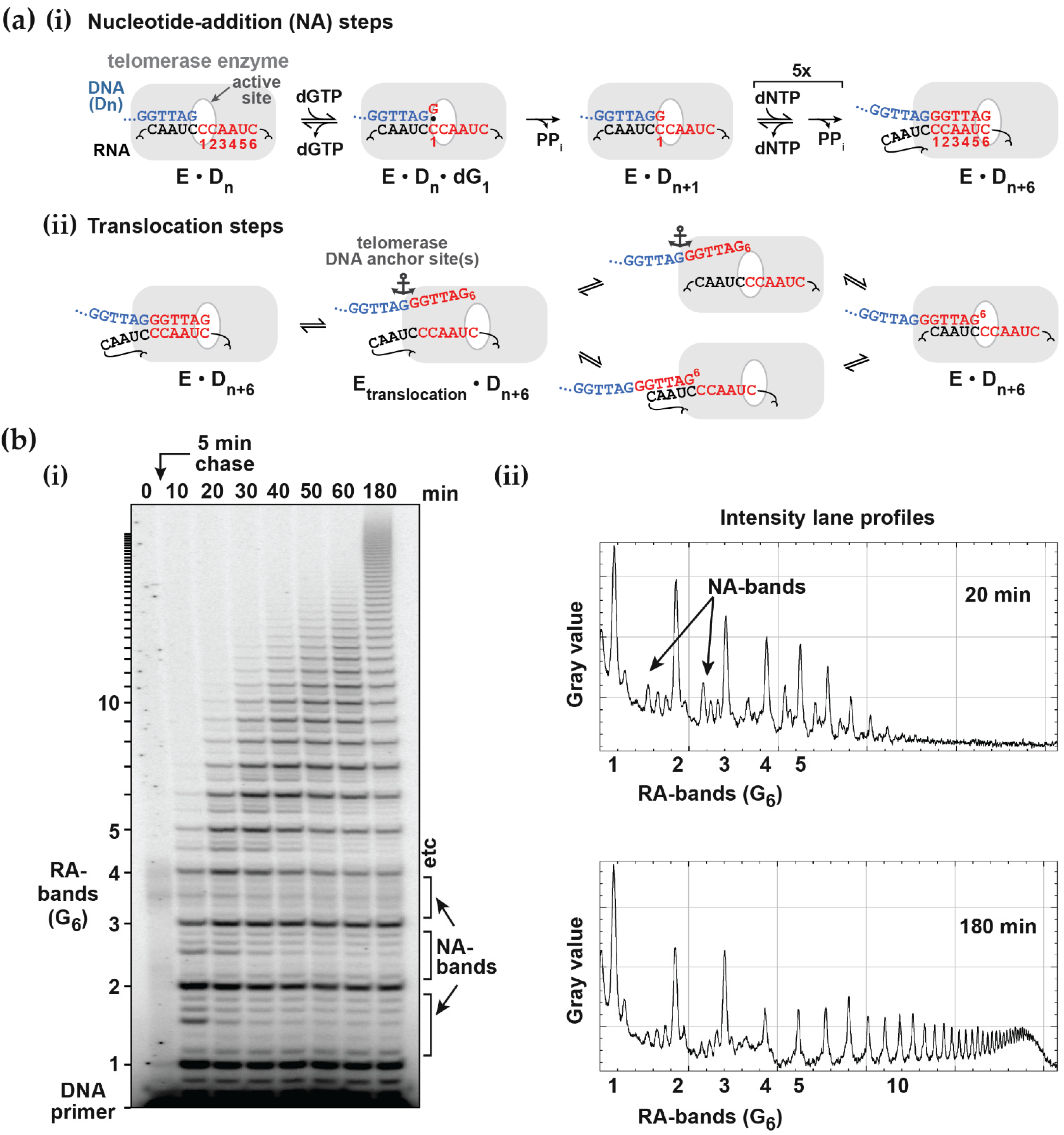 Molecules 26 07532 g001 550