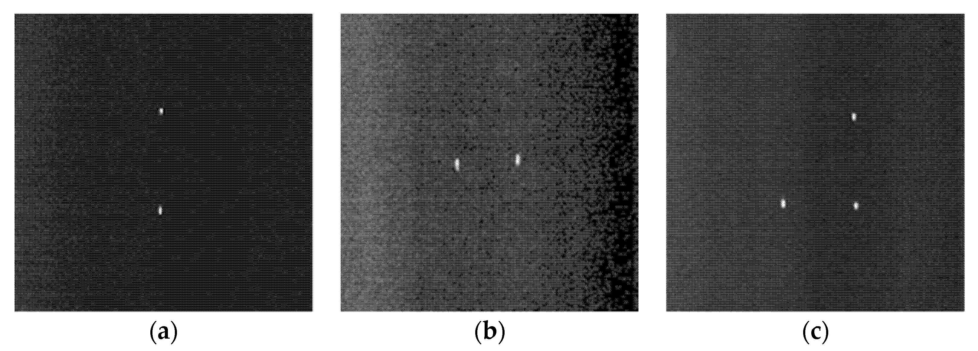 Molecules 26 07535 g001
