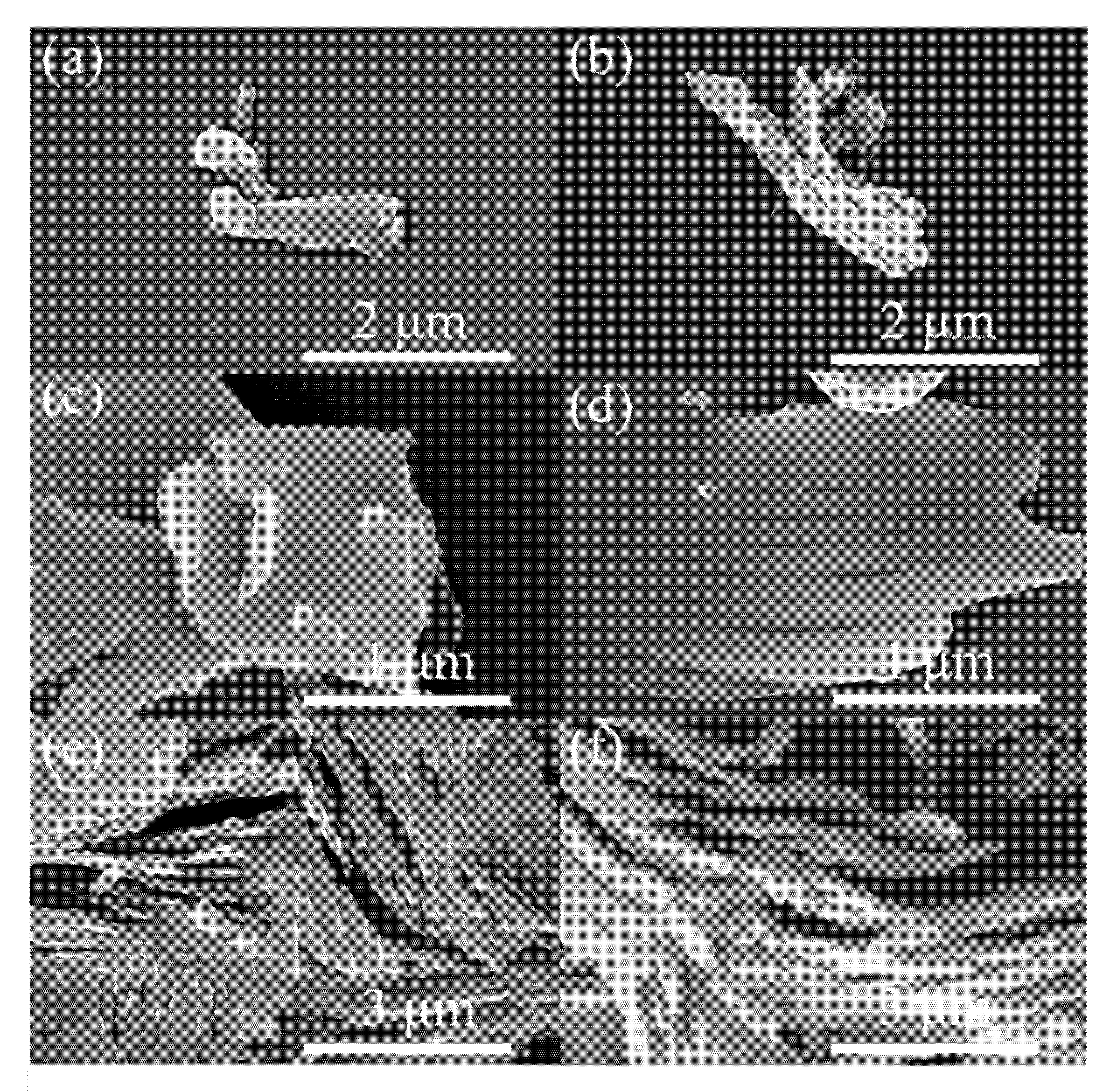 Molecules 26 07537 g001 550